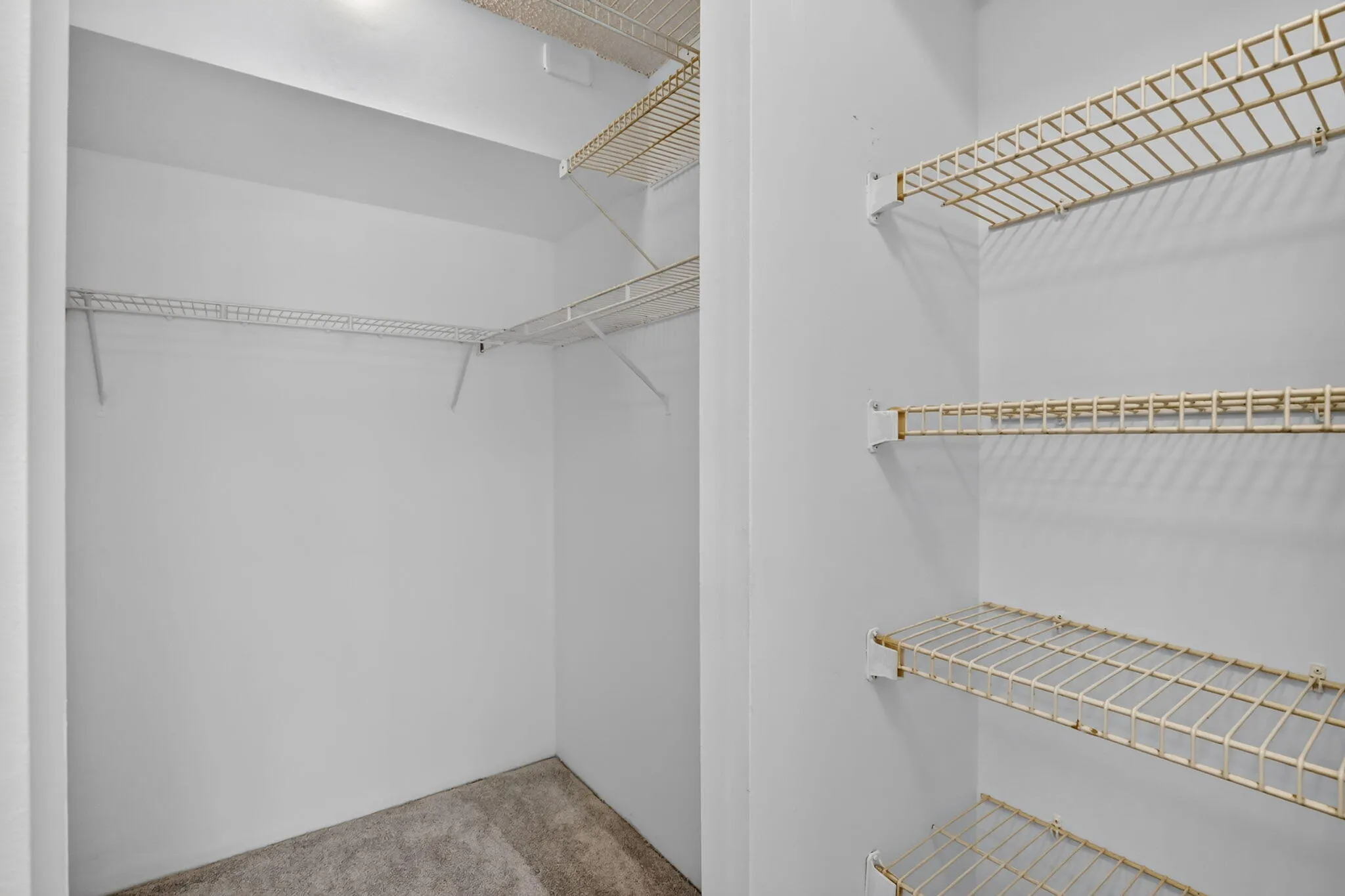 Primary linen closet and walk-in for plenty of storage!
