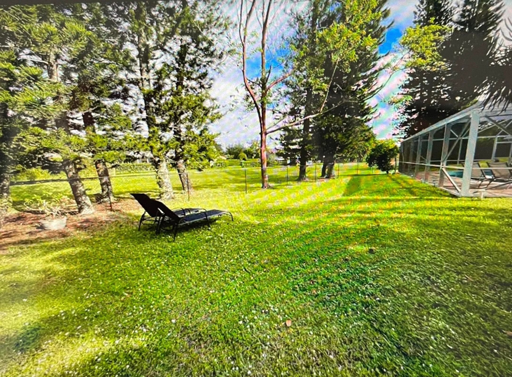 back yard