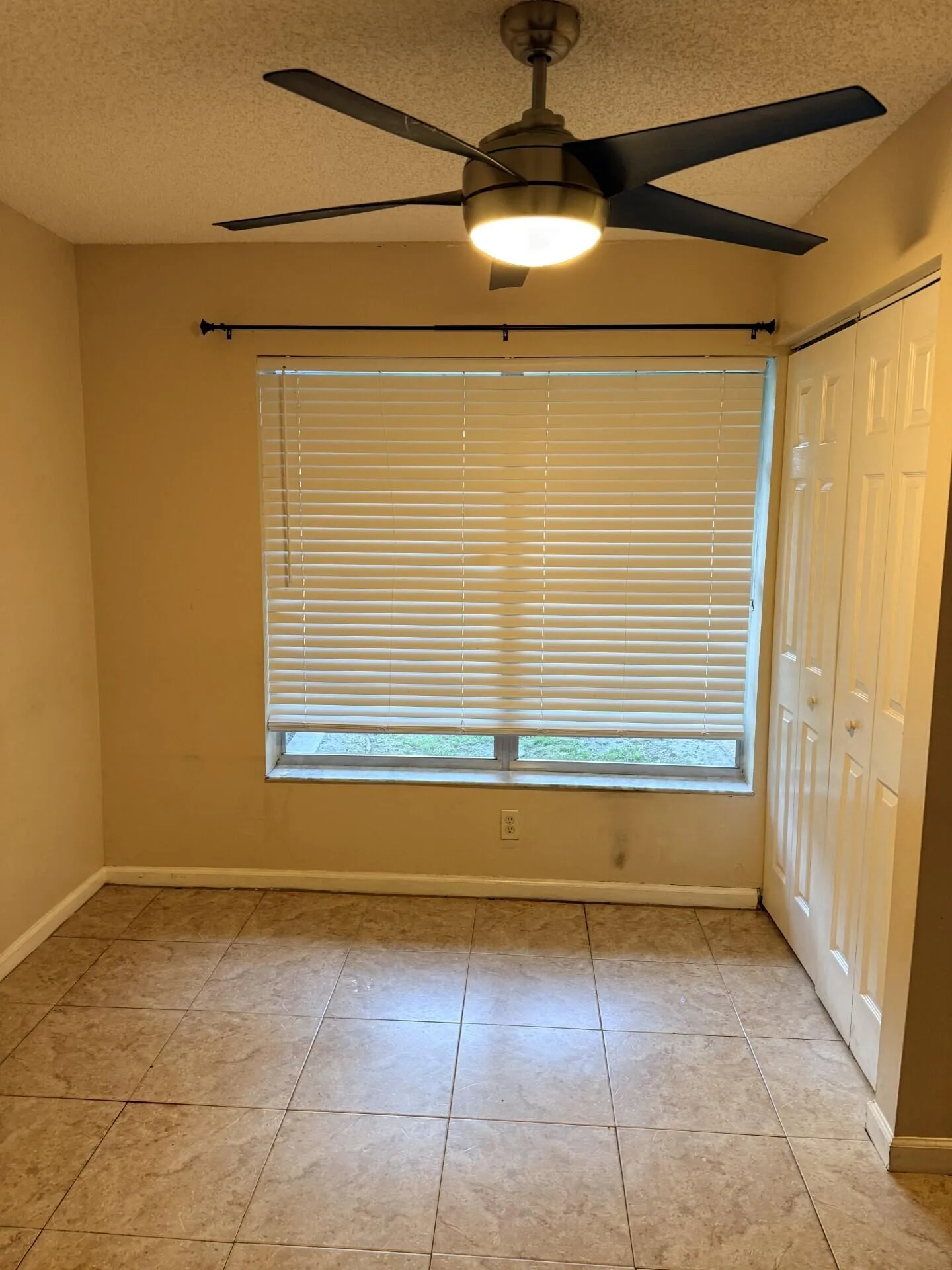 rental 11