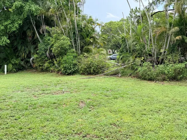 rental 14