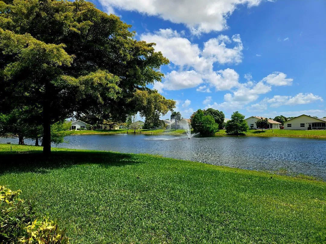 Lake View from Back of Home