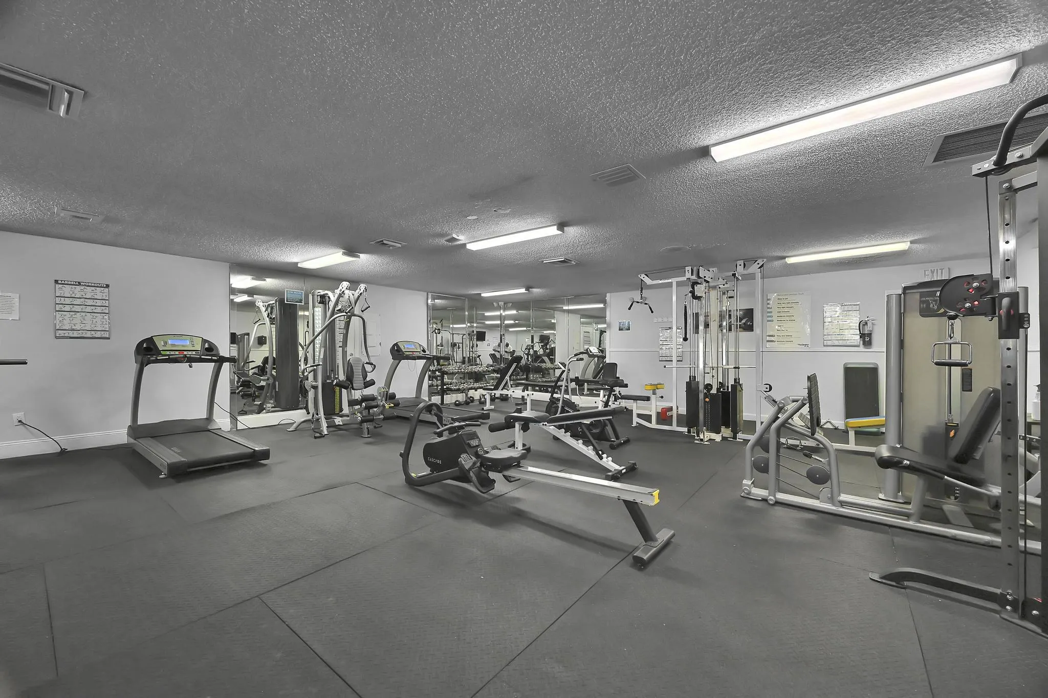 gym