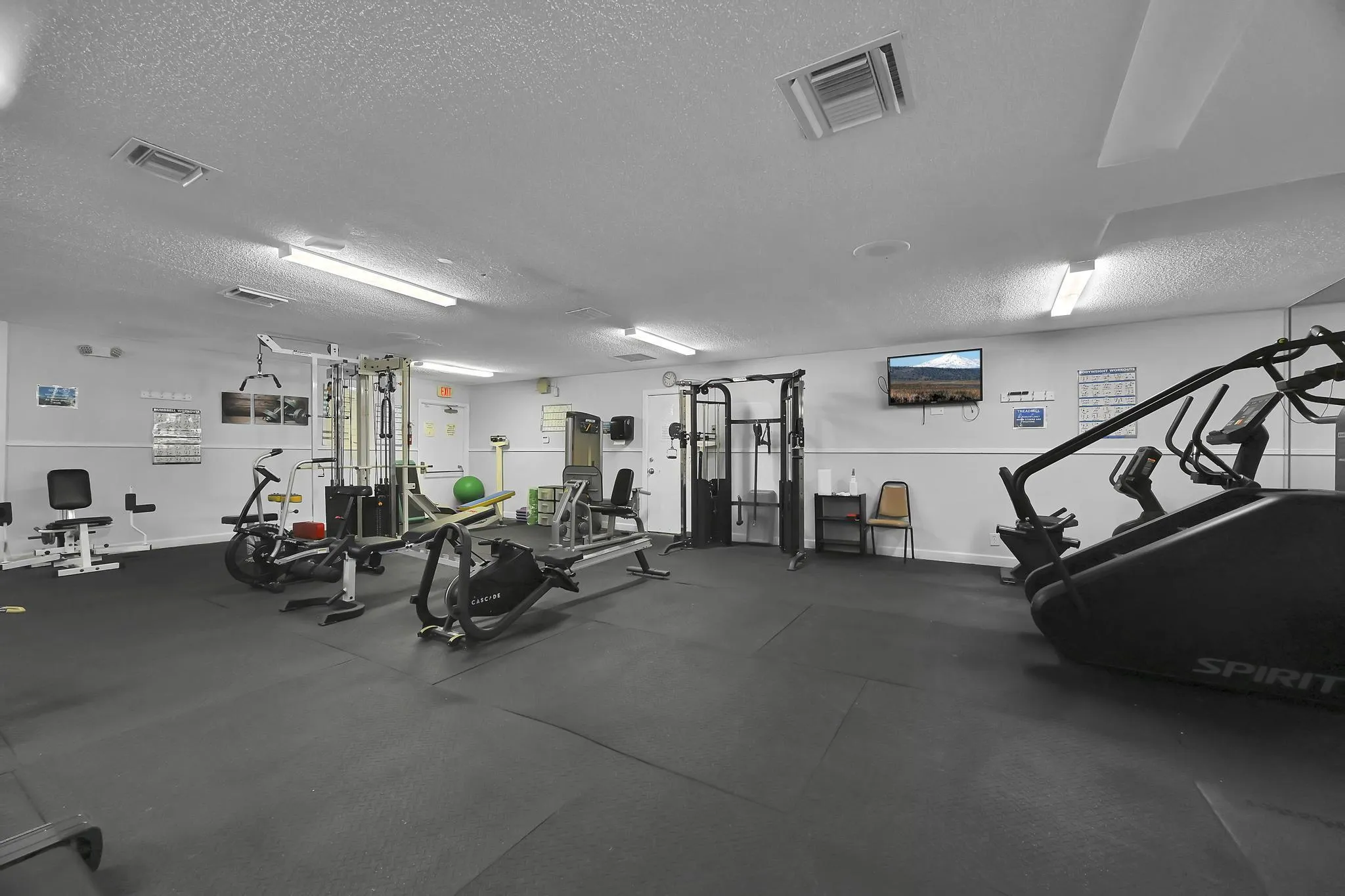 gym
