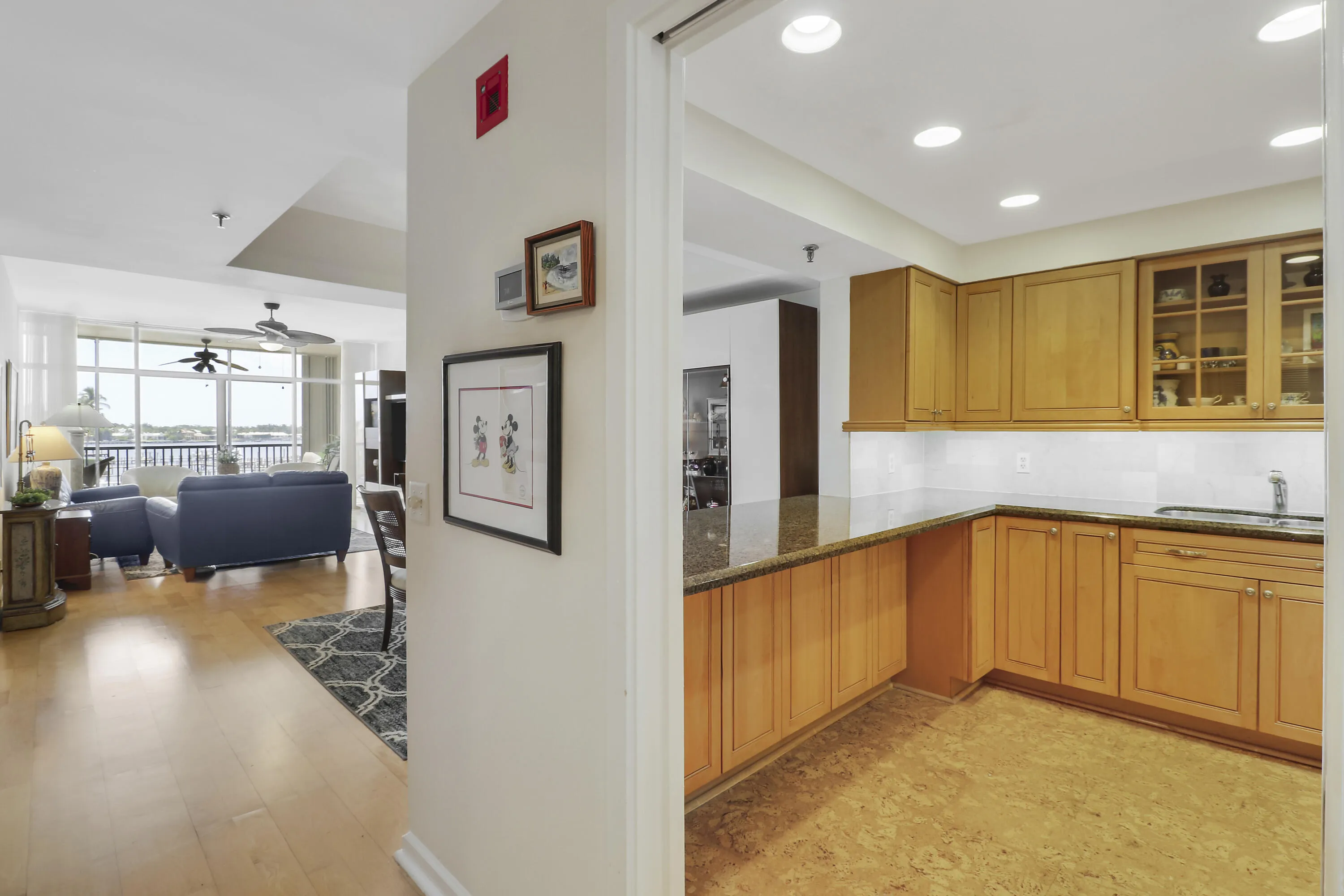 Entry to Kitchen/Living Area