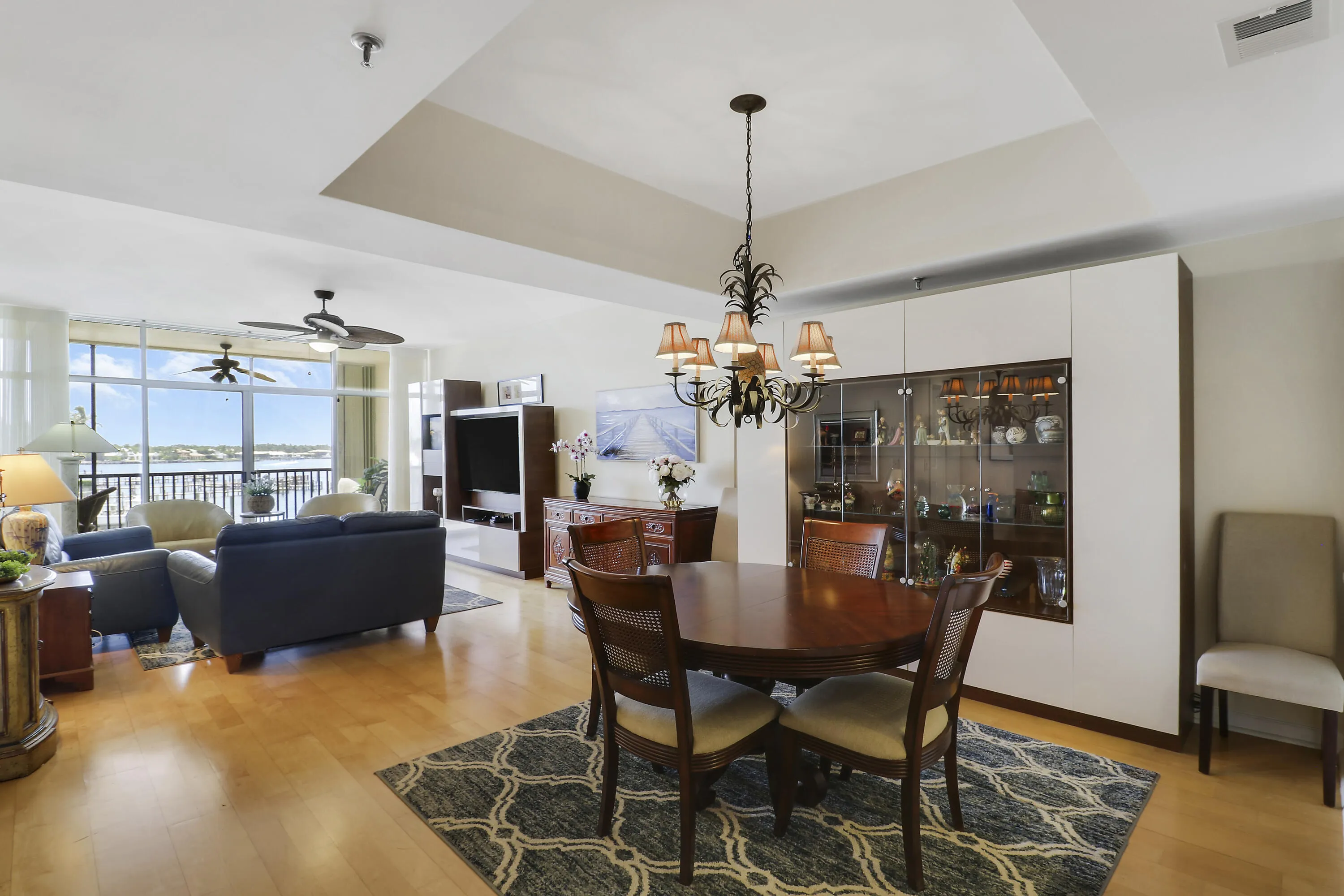 Dining/Living Area