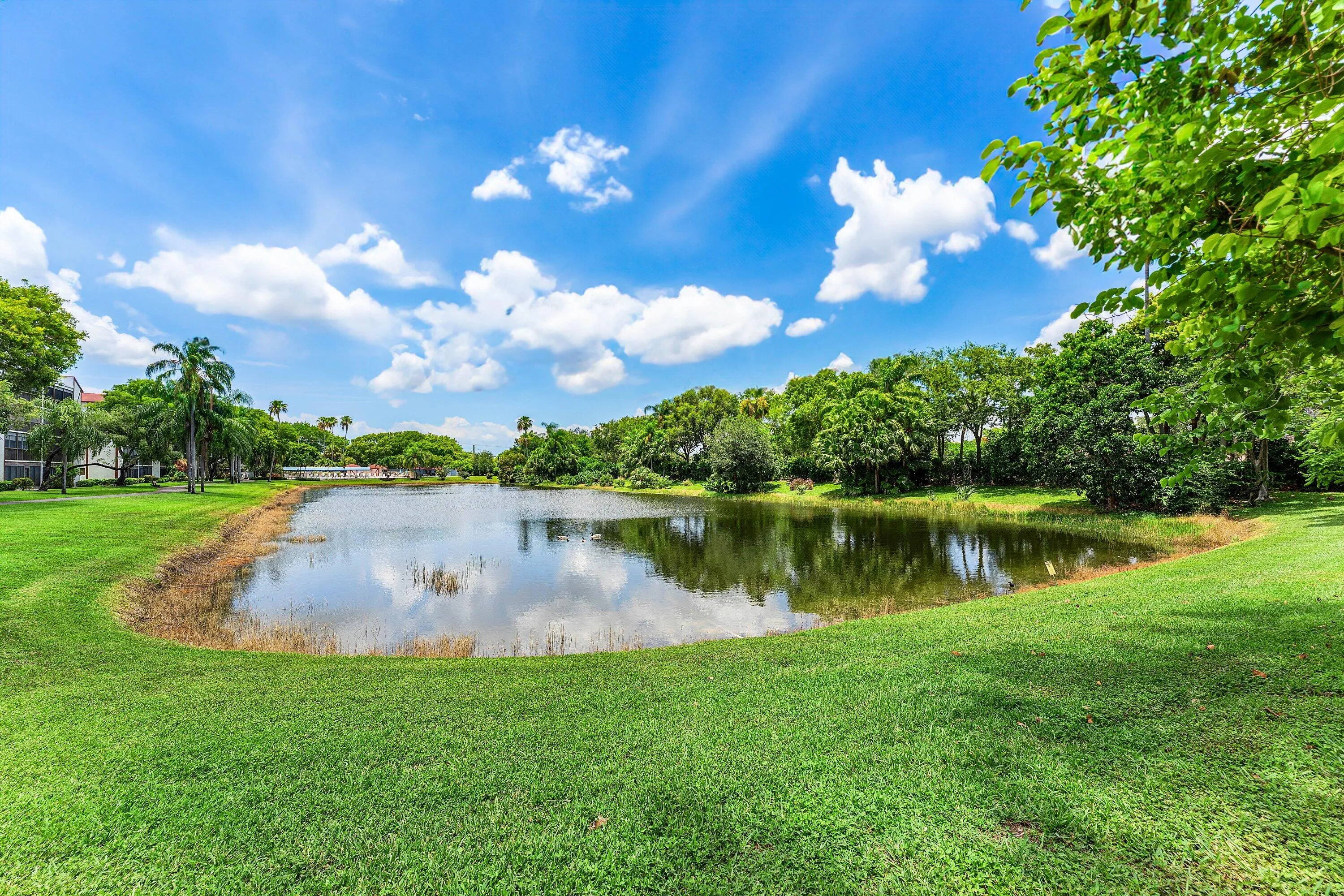 Lake View