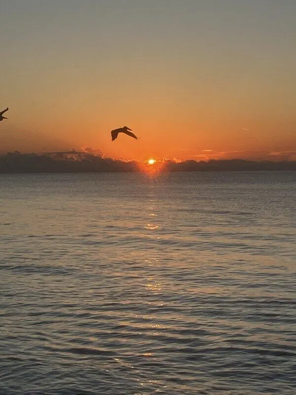 Sunrise