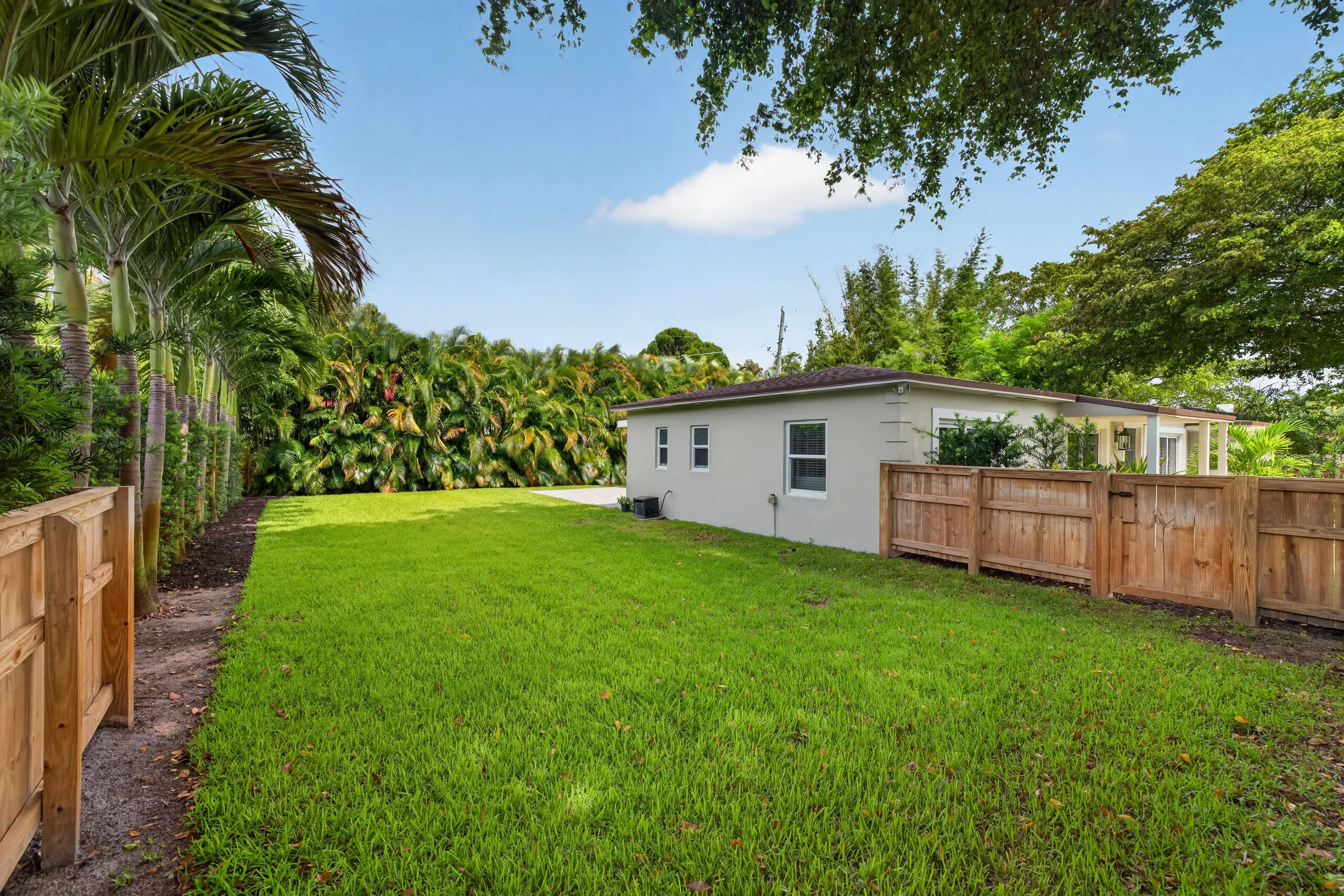 Side/Backyard