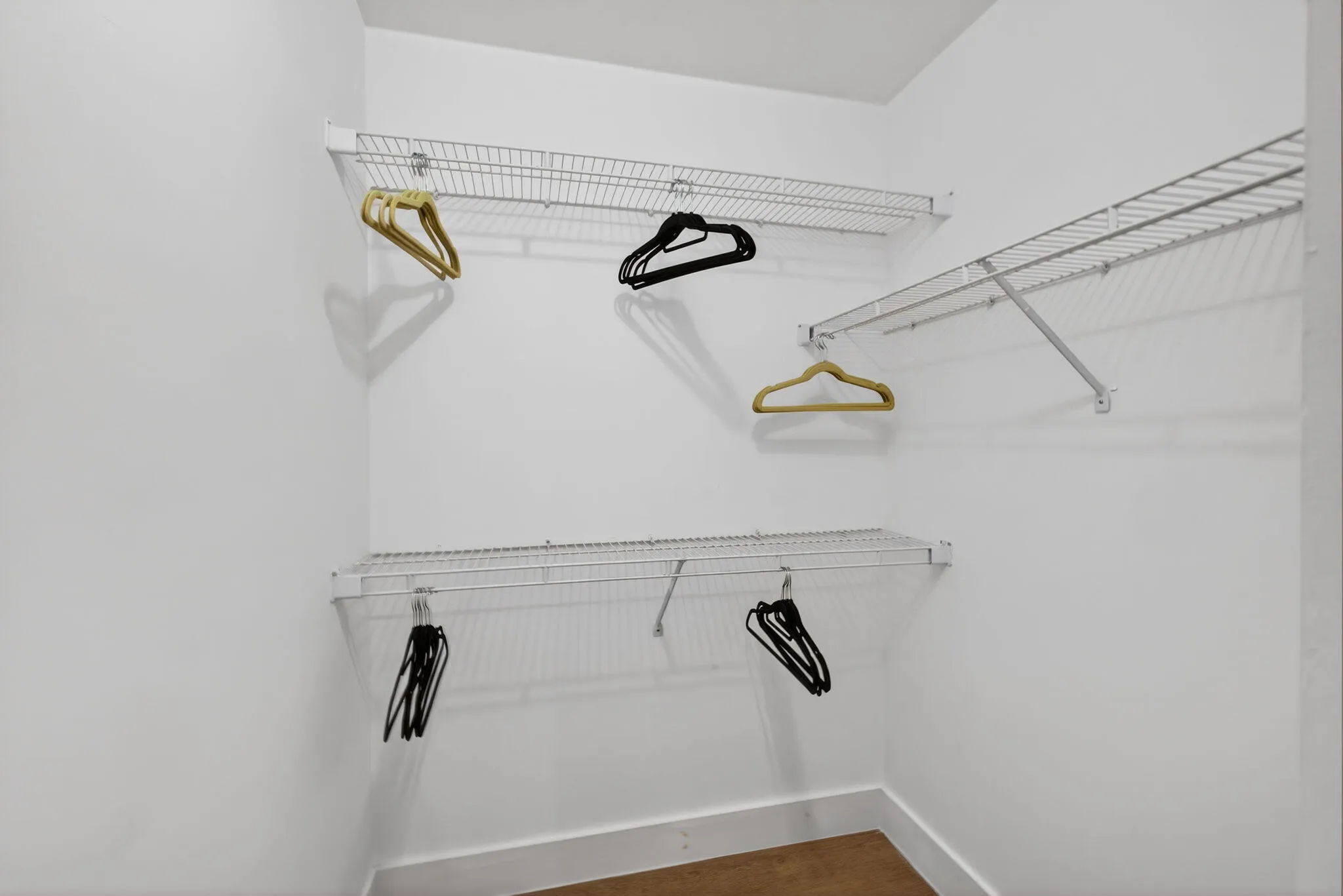 36-web-or-mls-5D1A1825