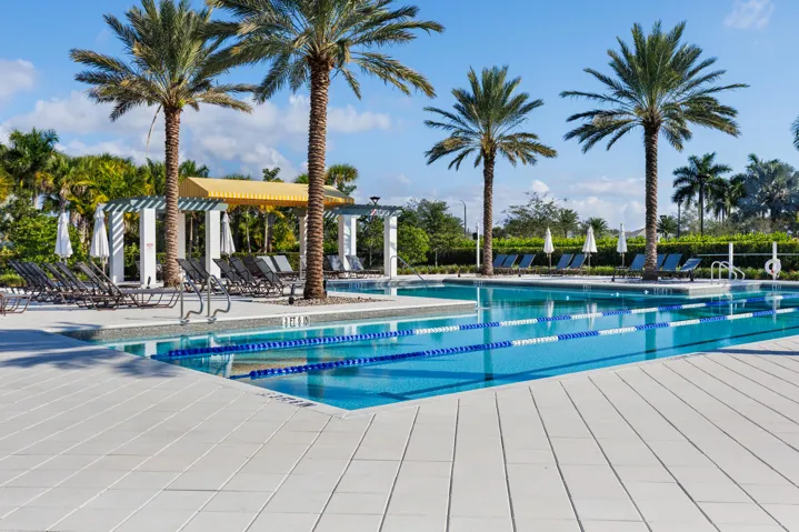 Adult Pool