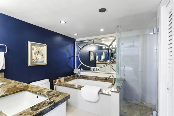 Master Bath pic 1