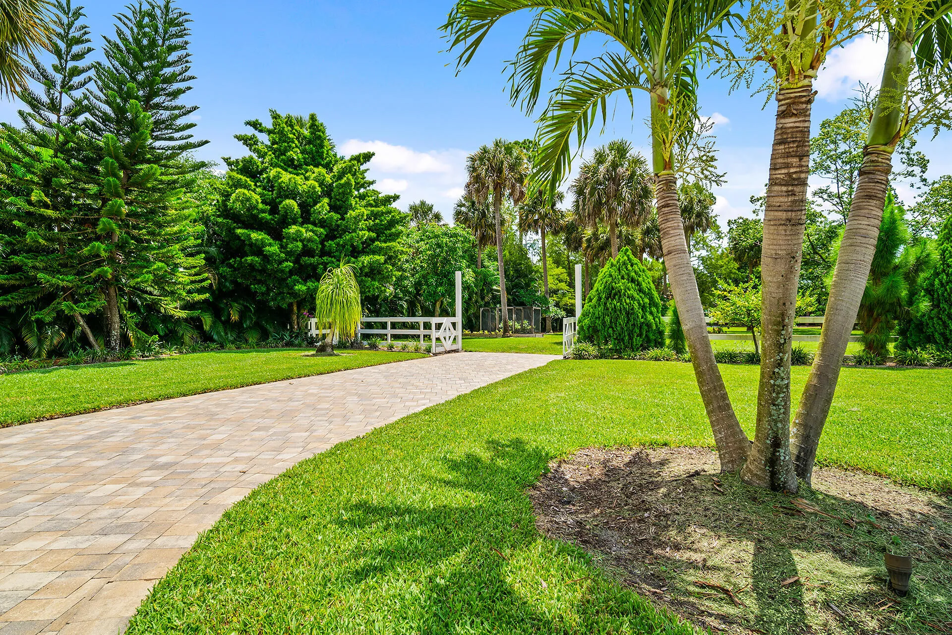 Driveway