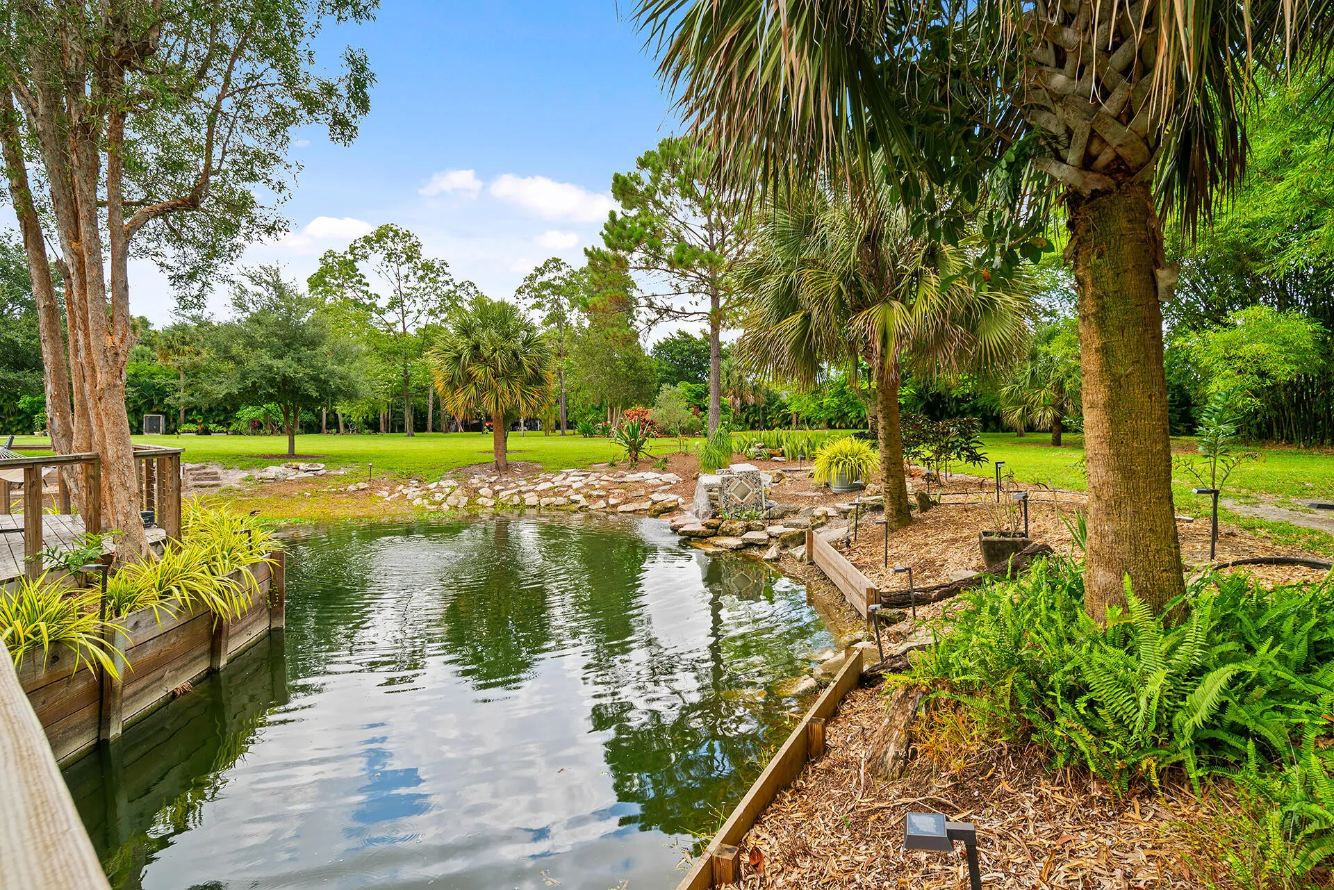 Pond