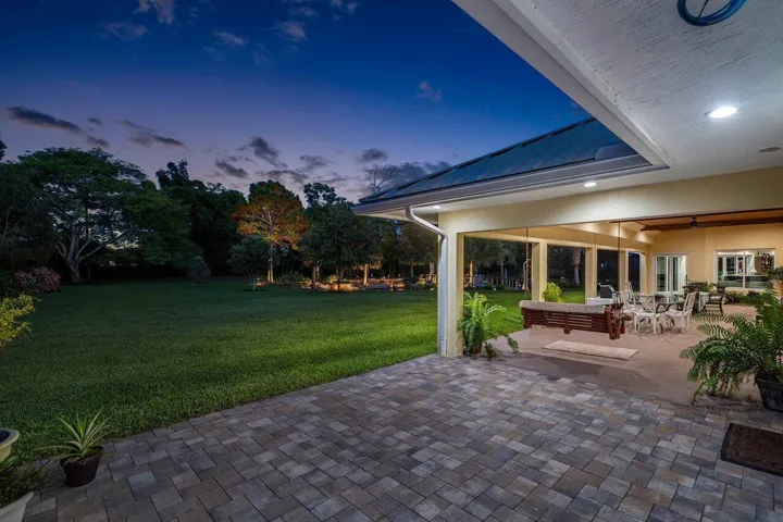 Twilight Backyard