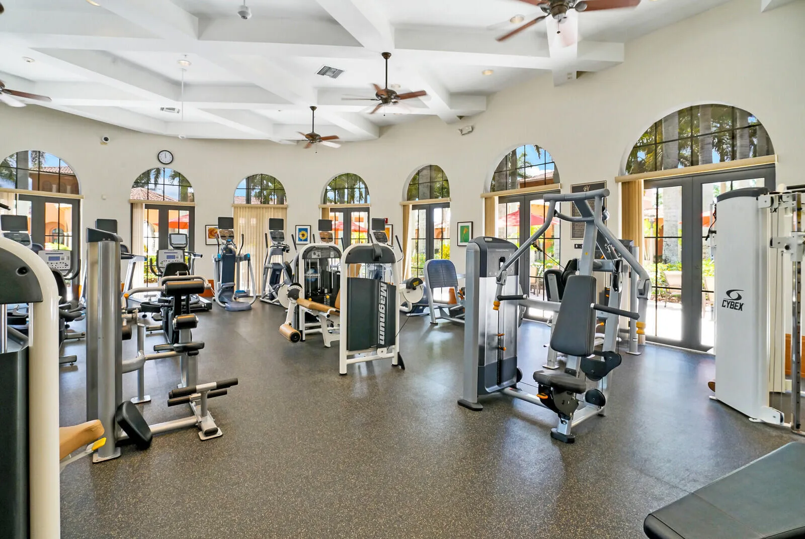 BV - Gym