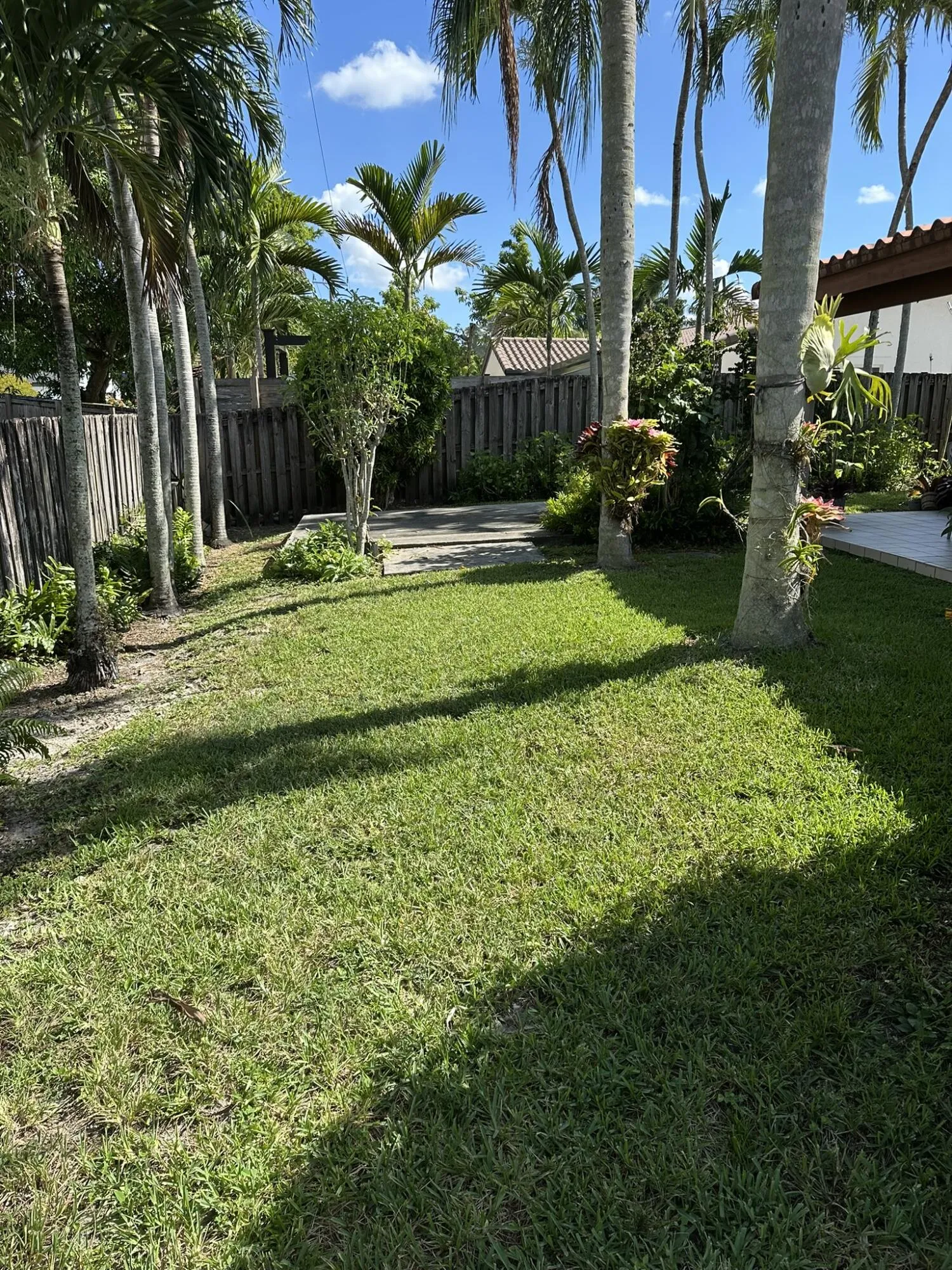 Fernandez backyard 3