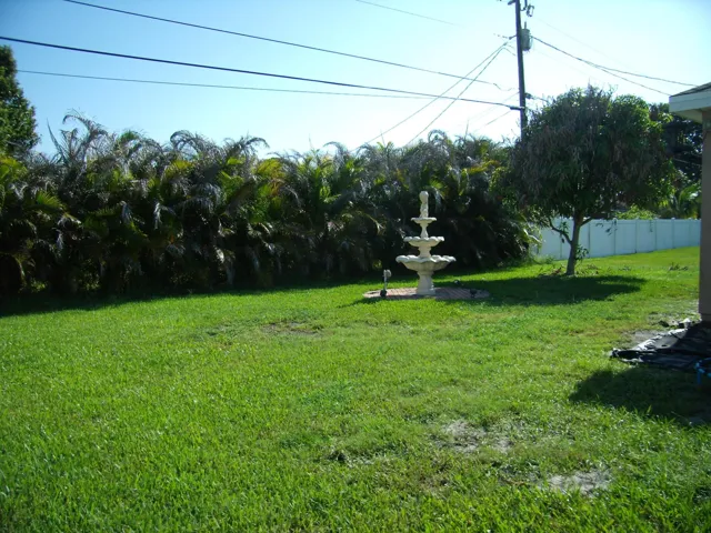 backyard