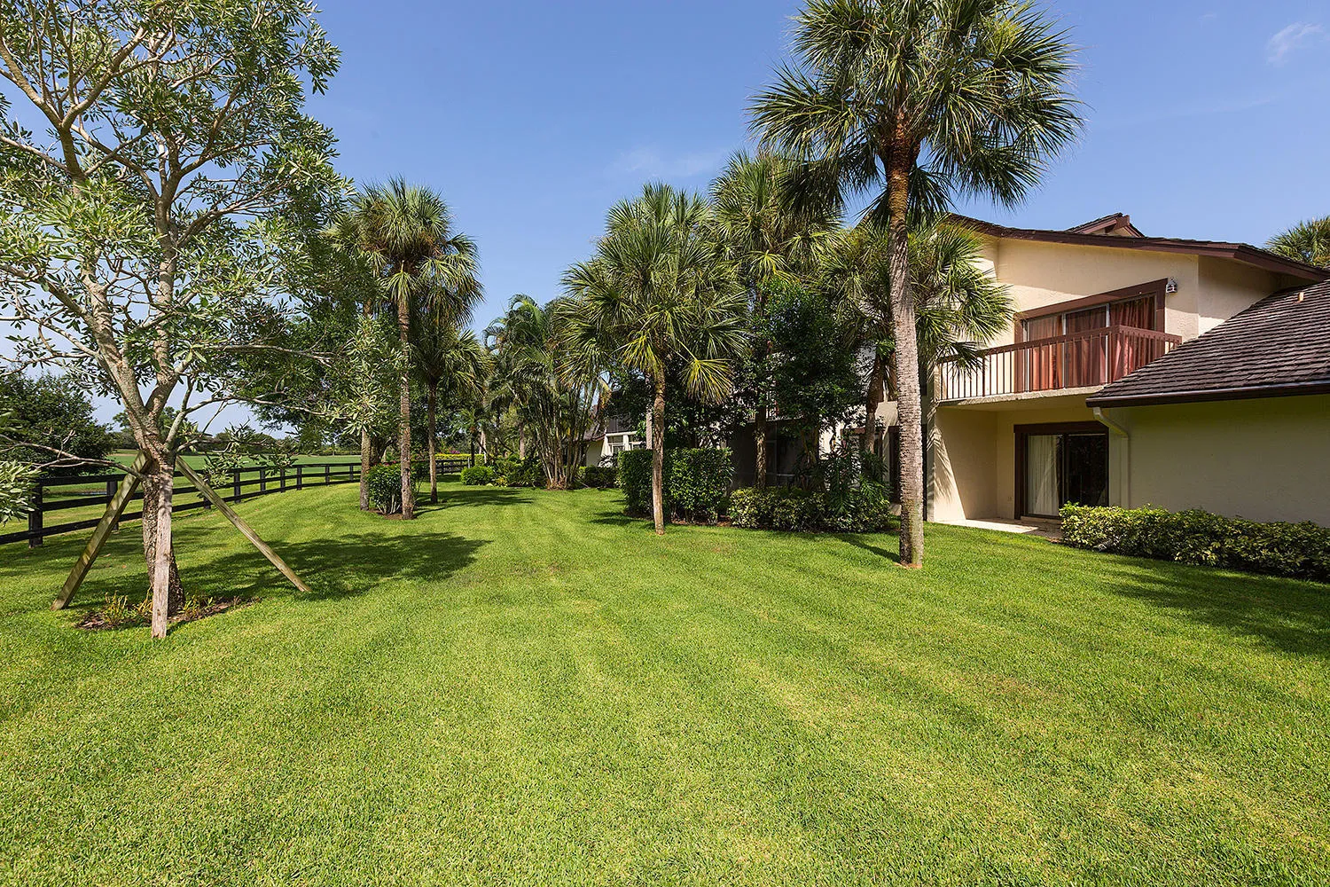 Backyard Area