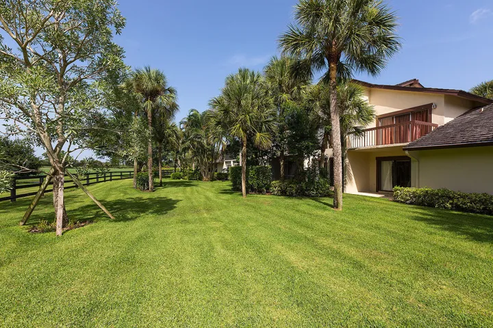 Backyard Area