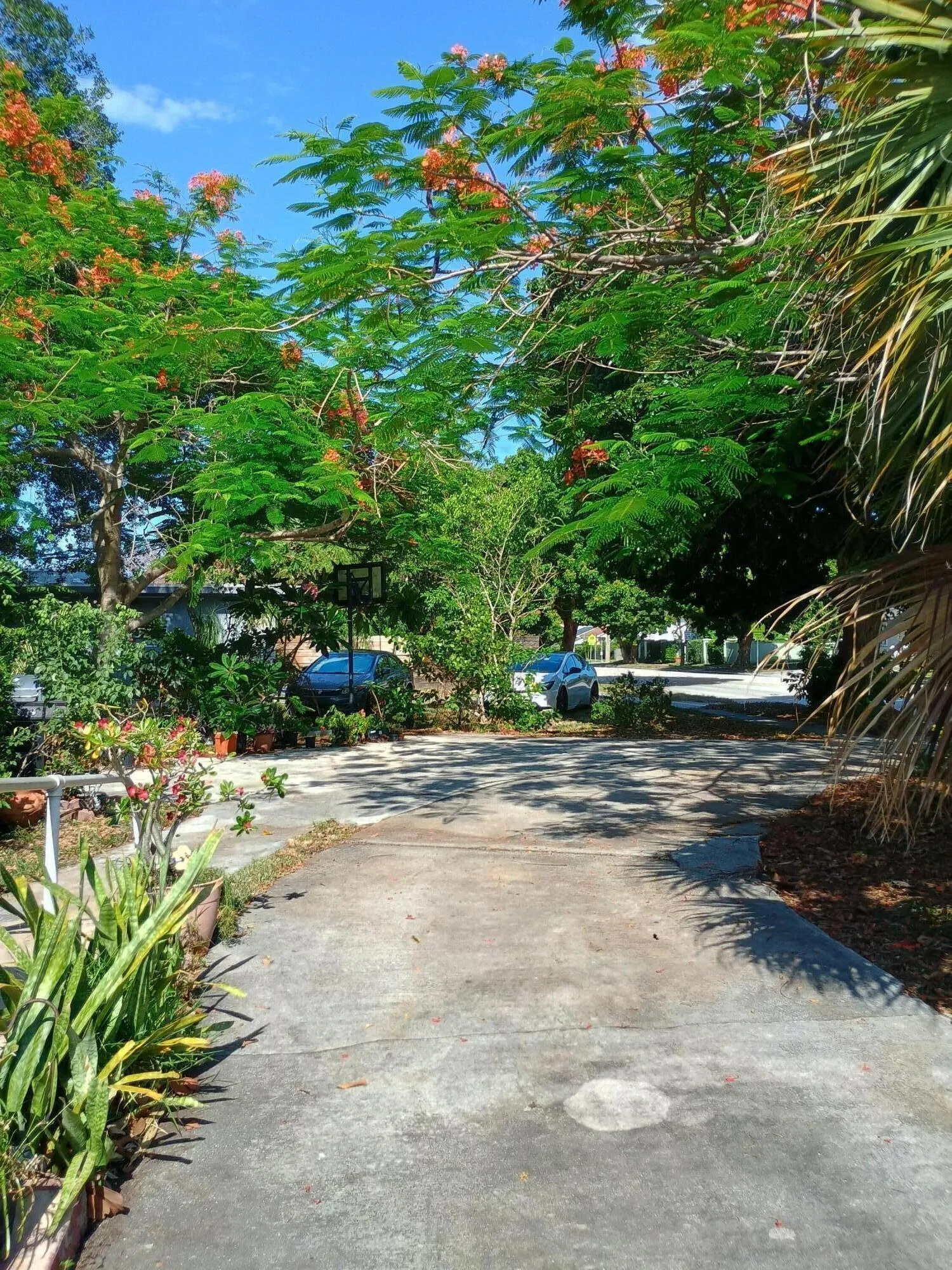 CIRCULAR DRIVEWAY