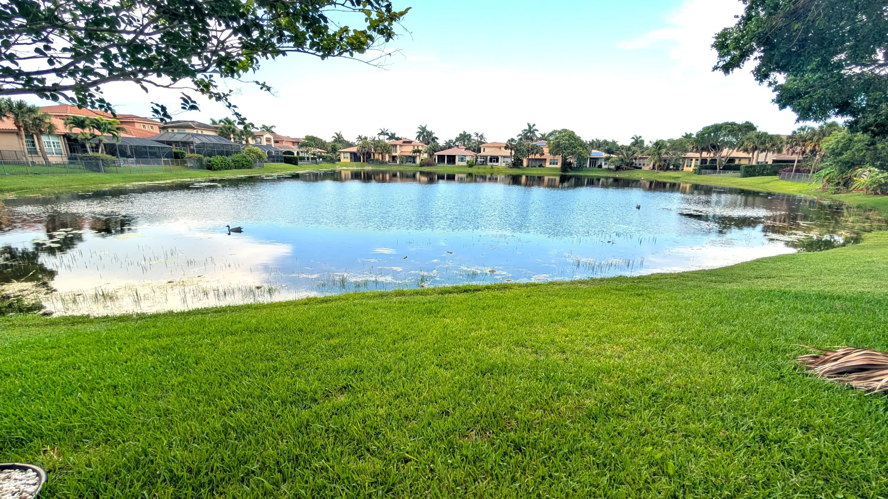 Lake