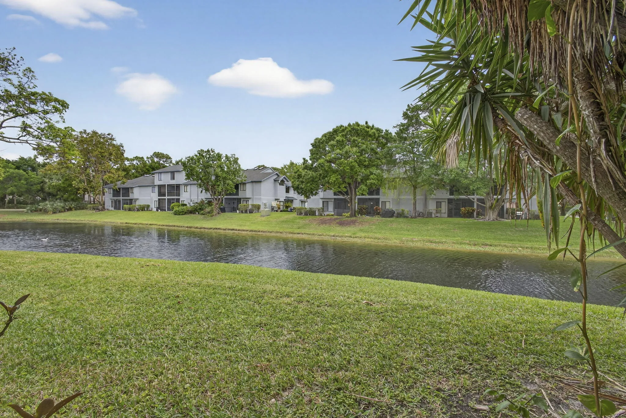 39-web-or-mls-BS1A5613