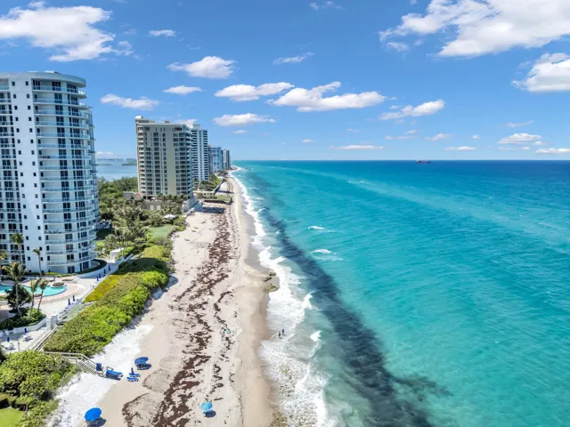 Aerial Beach View