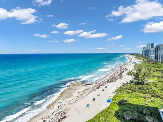 Aerial Beach View