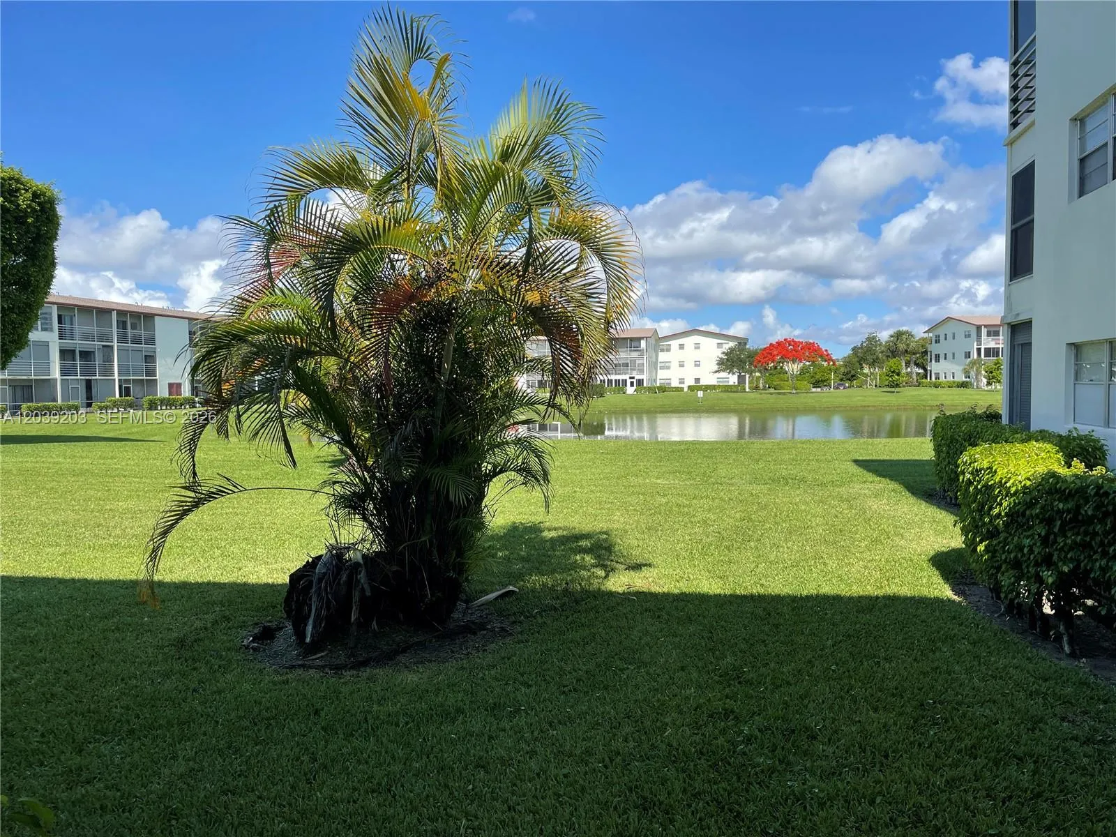 Property photo 46