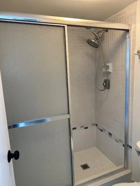 Walk in Master Shower