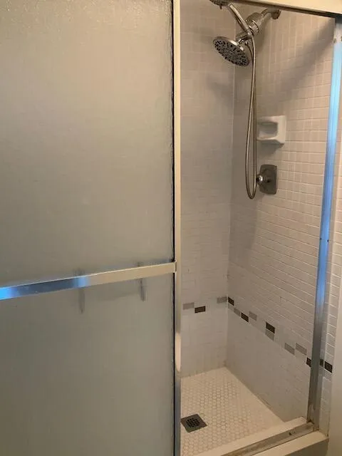 Master Step In Shower