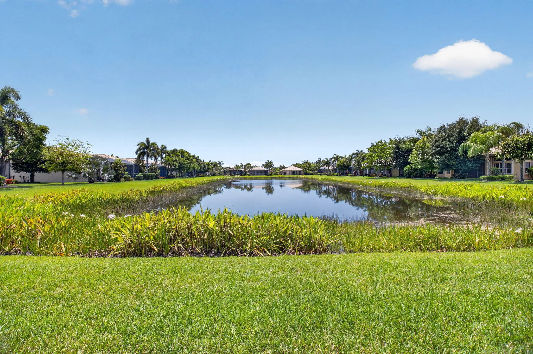 Lake View