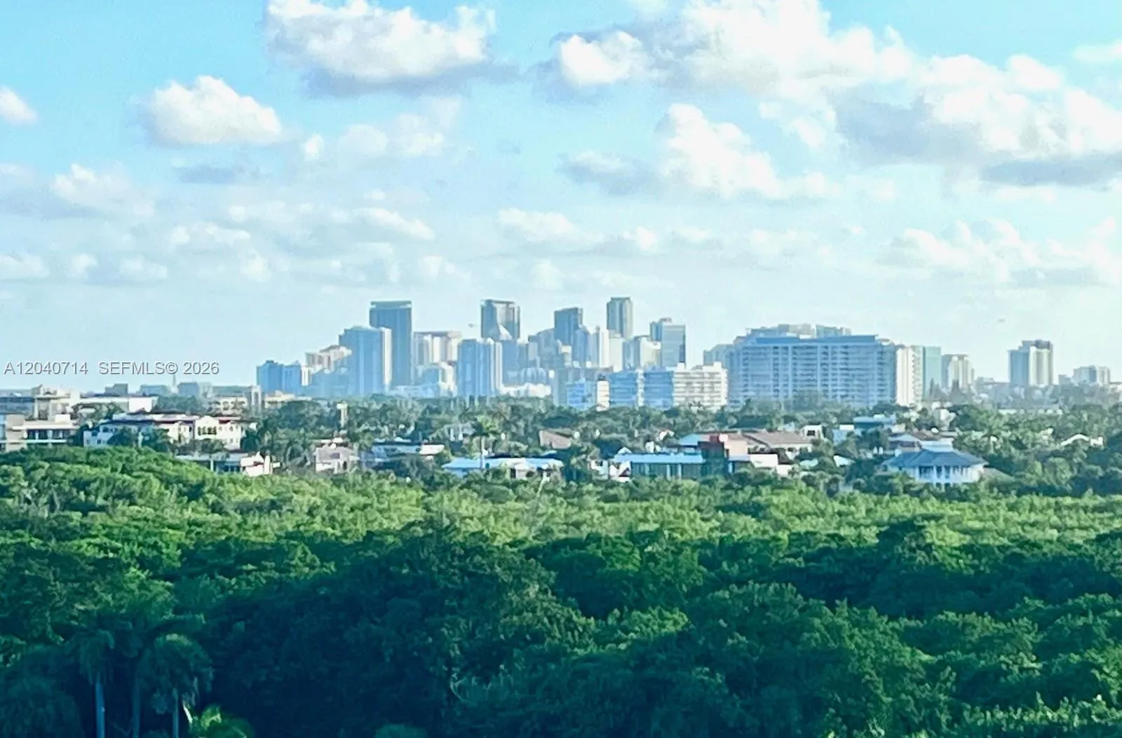 Downtown view