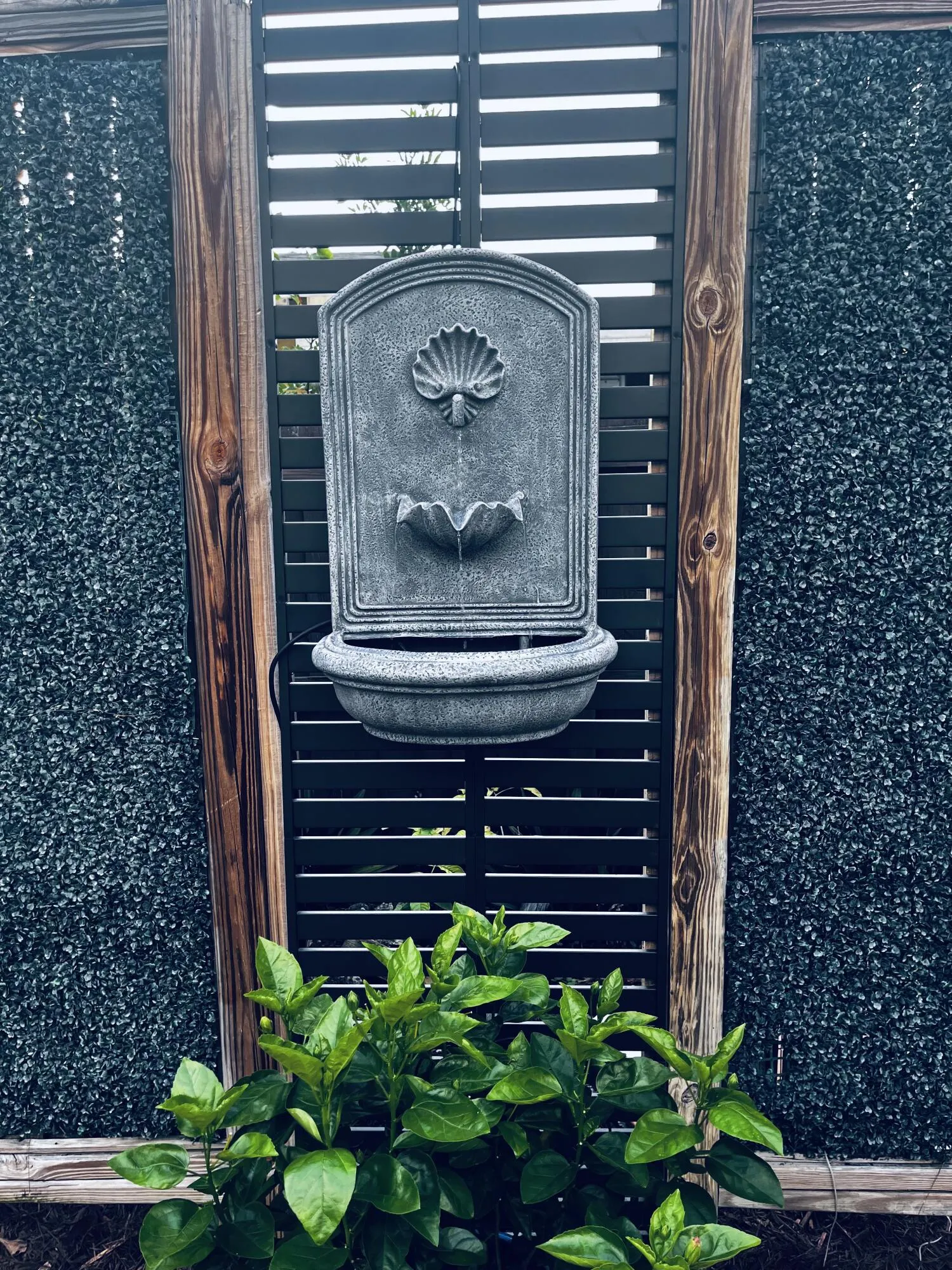 Fountain Raised from previous photos - Additional Tranquility