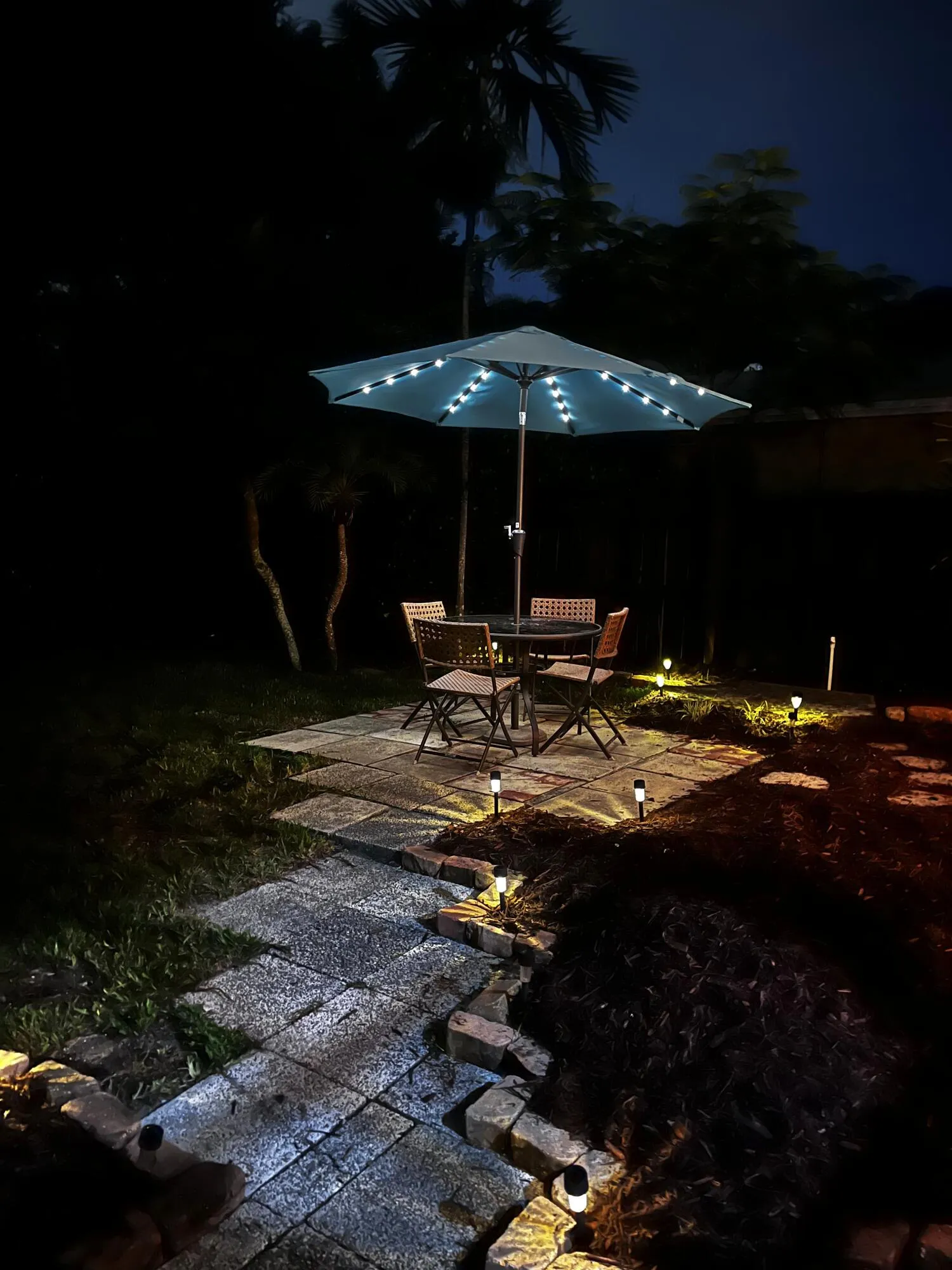 Backyard Evening Photo taken by Seller