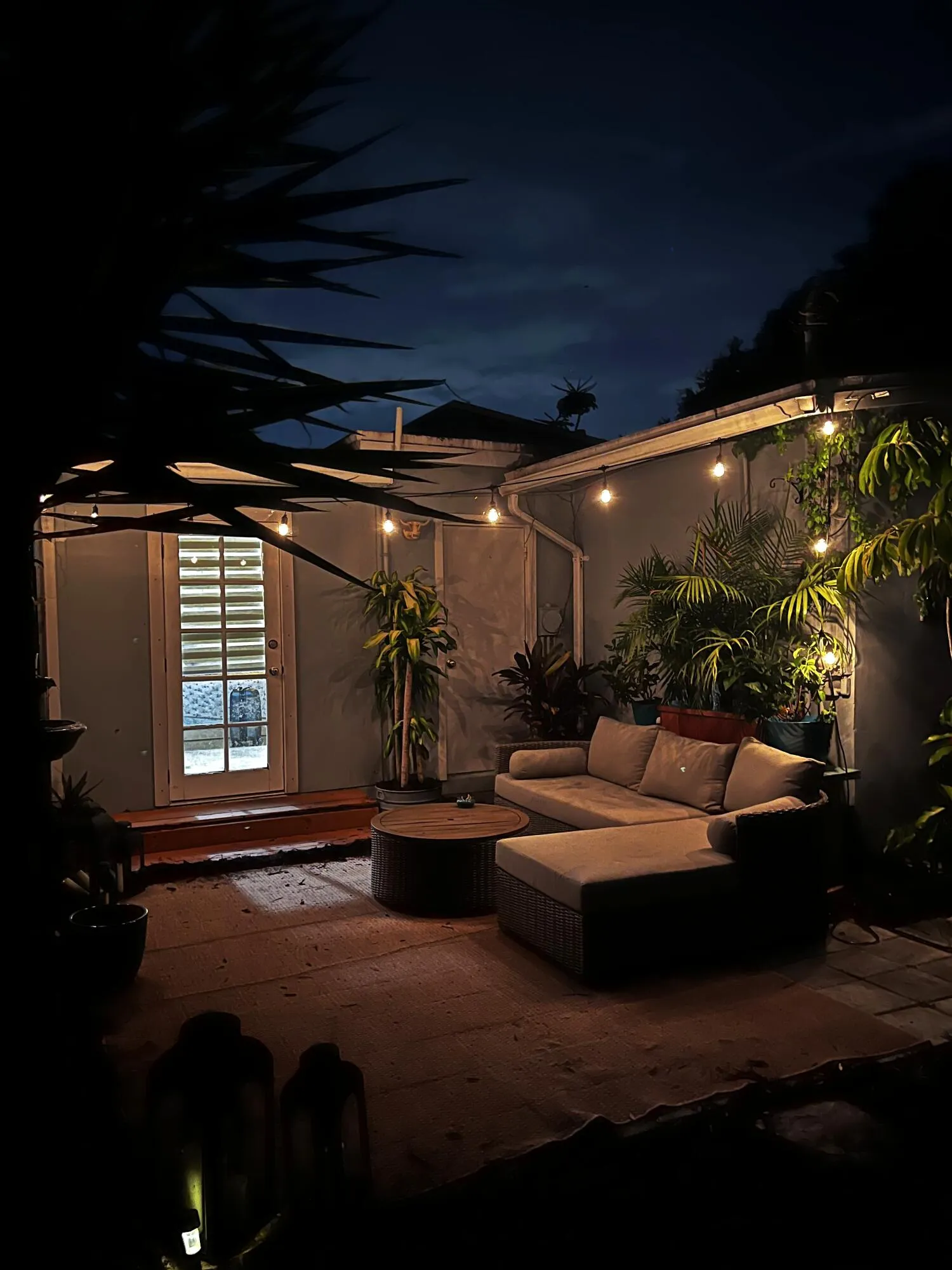 Backyard Evening Photo taken by Seller