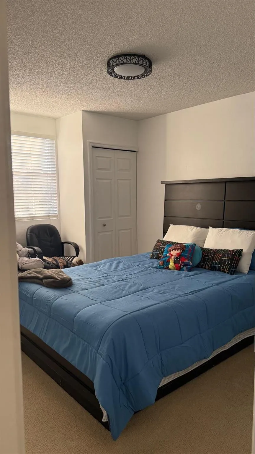 Property photo 43