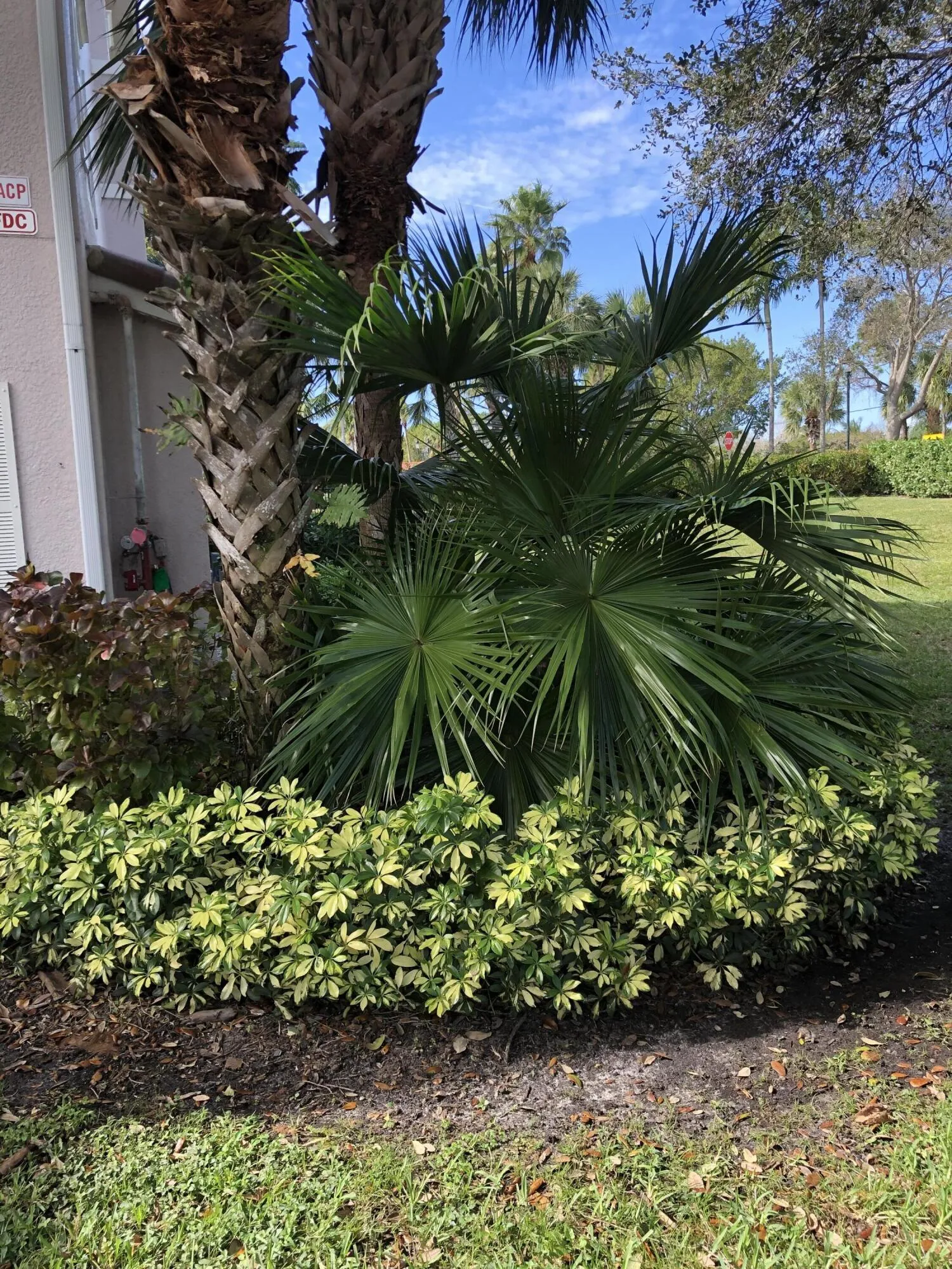 UPDATED LANDSCAPING