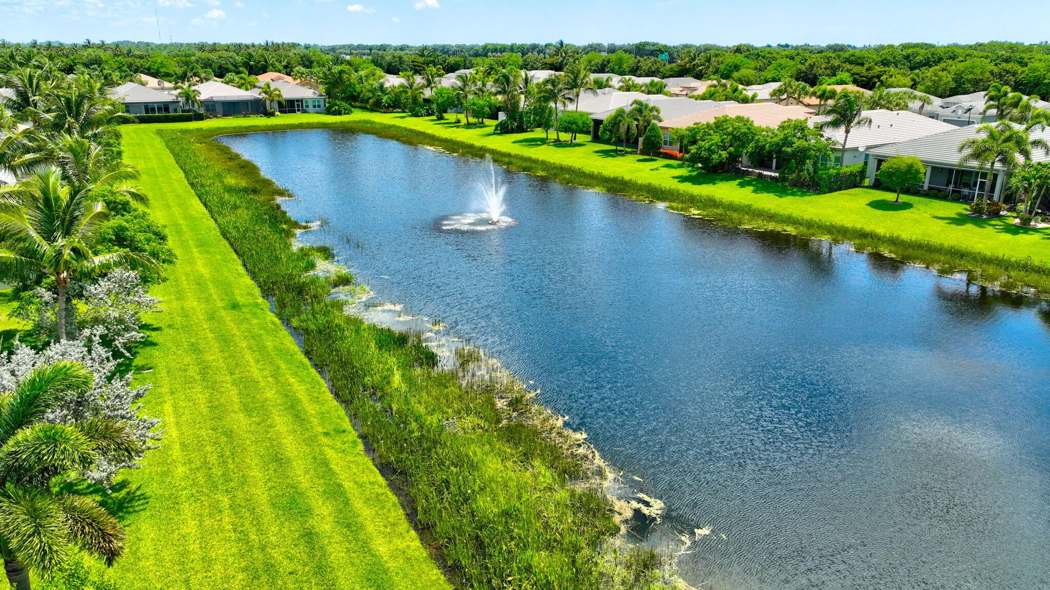 83-web-or-mls-00221_DJI_0158And4more