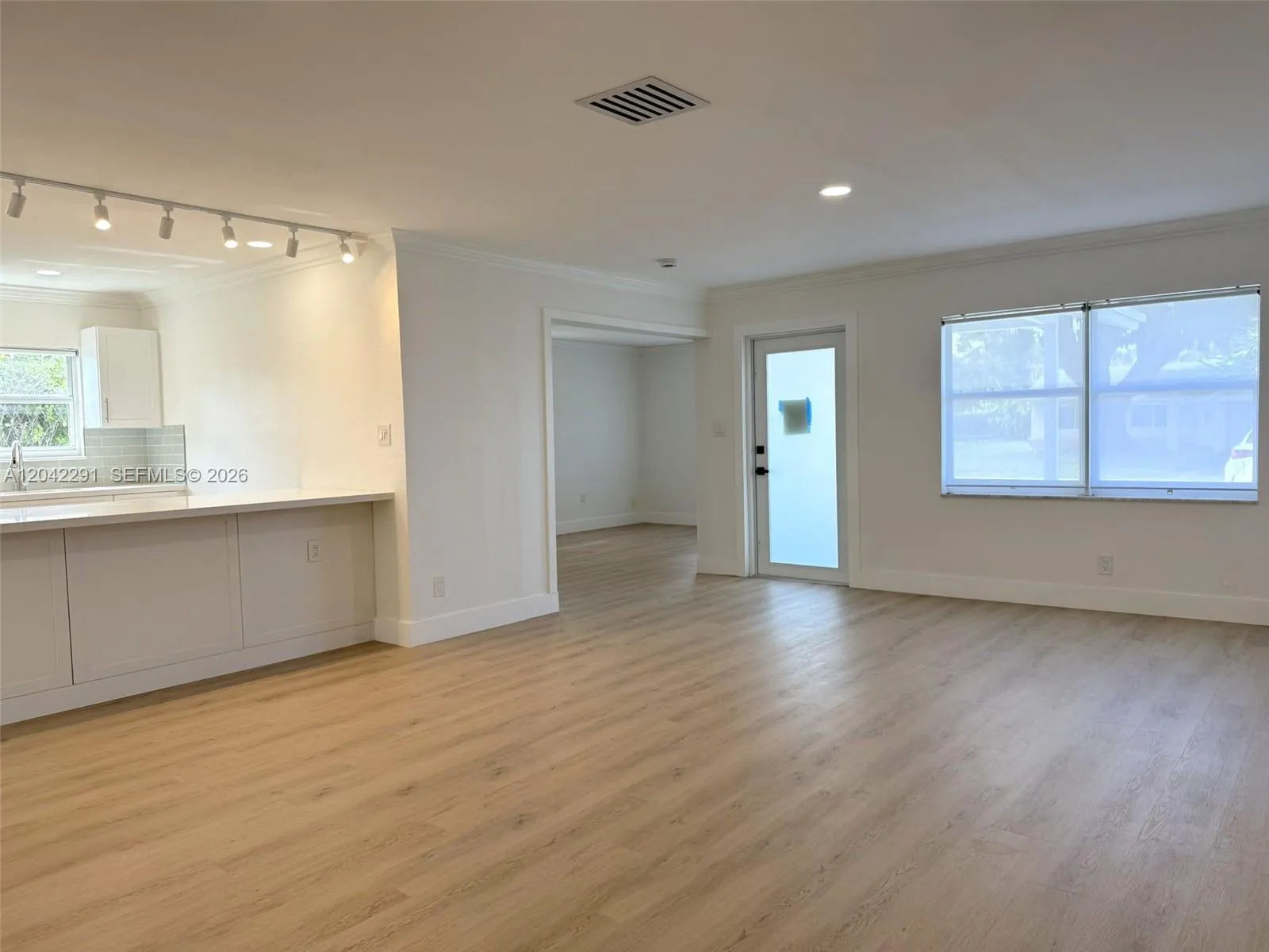 Living Room and Open kitchen Isle
