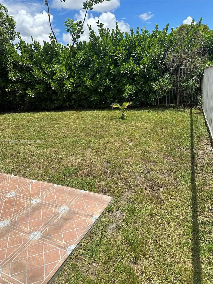 Back yard