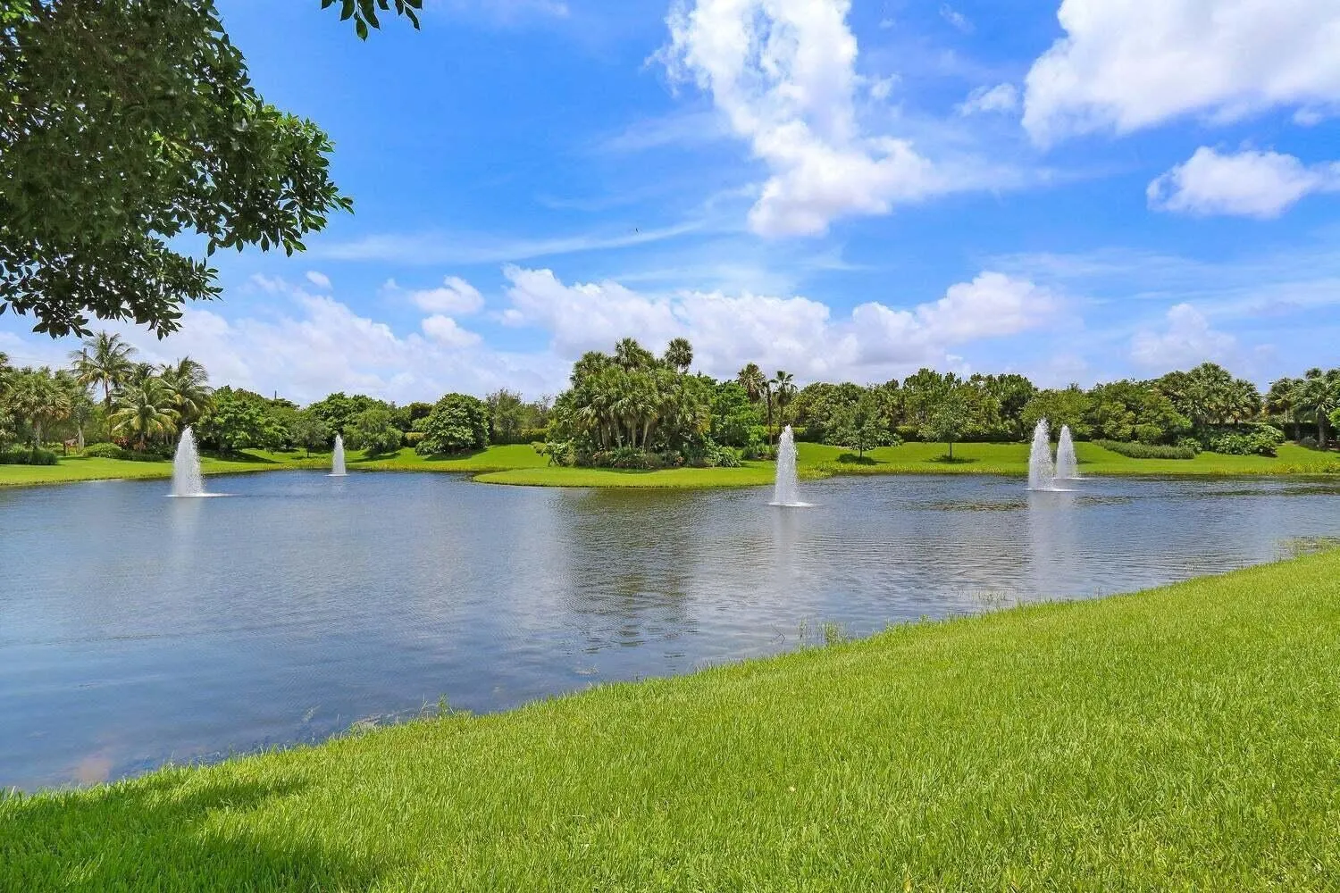 Property photo 46