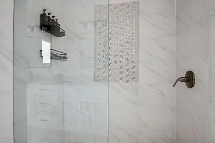 Primary Shower