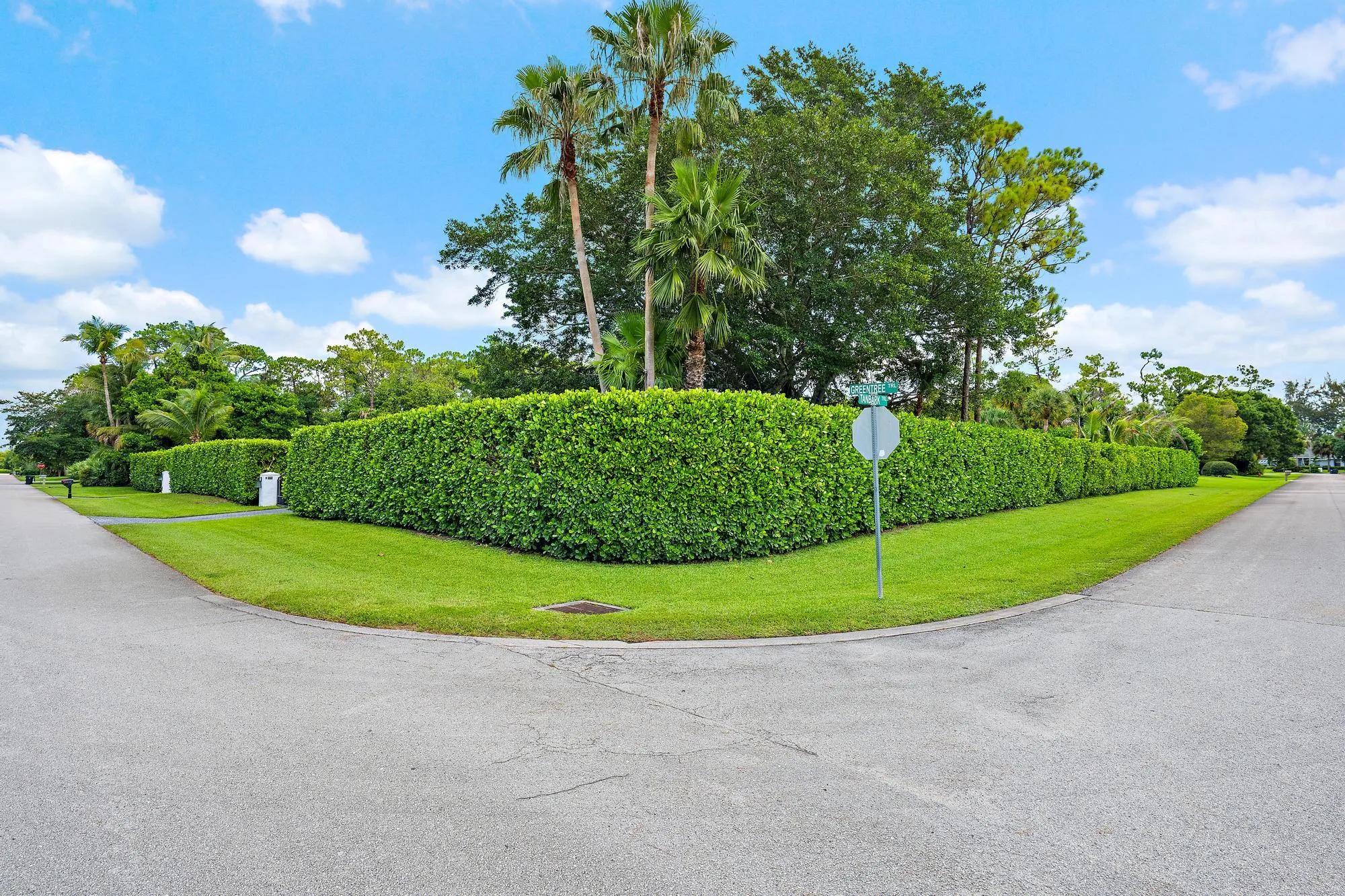 Expansive Corner Lot