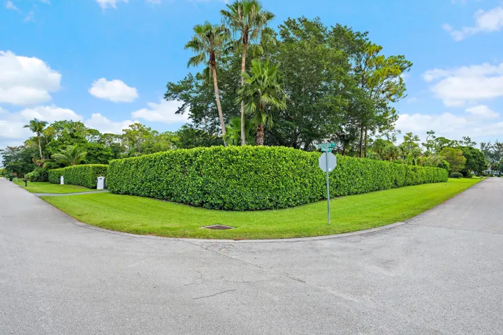 Expansive Corner Lot