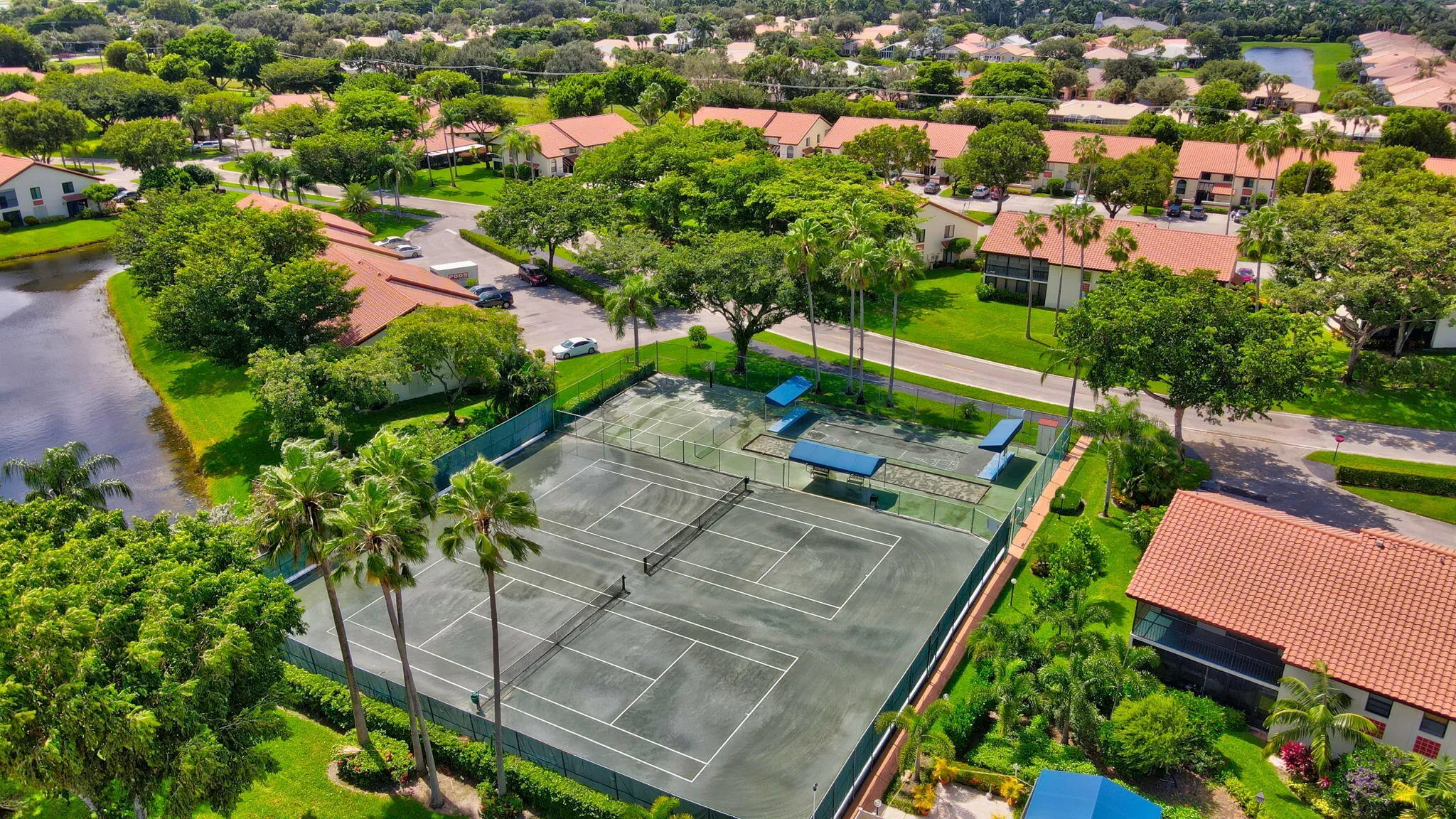 58-web-or-mls-Palm Chase