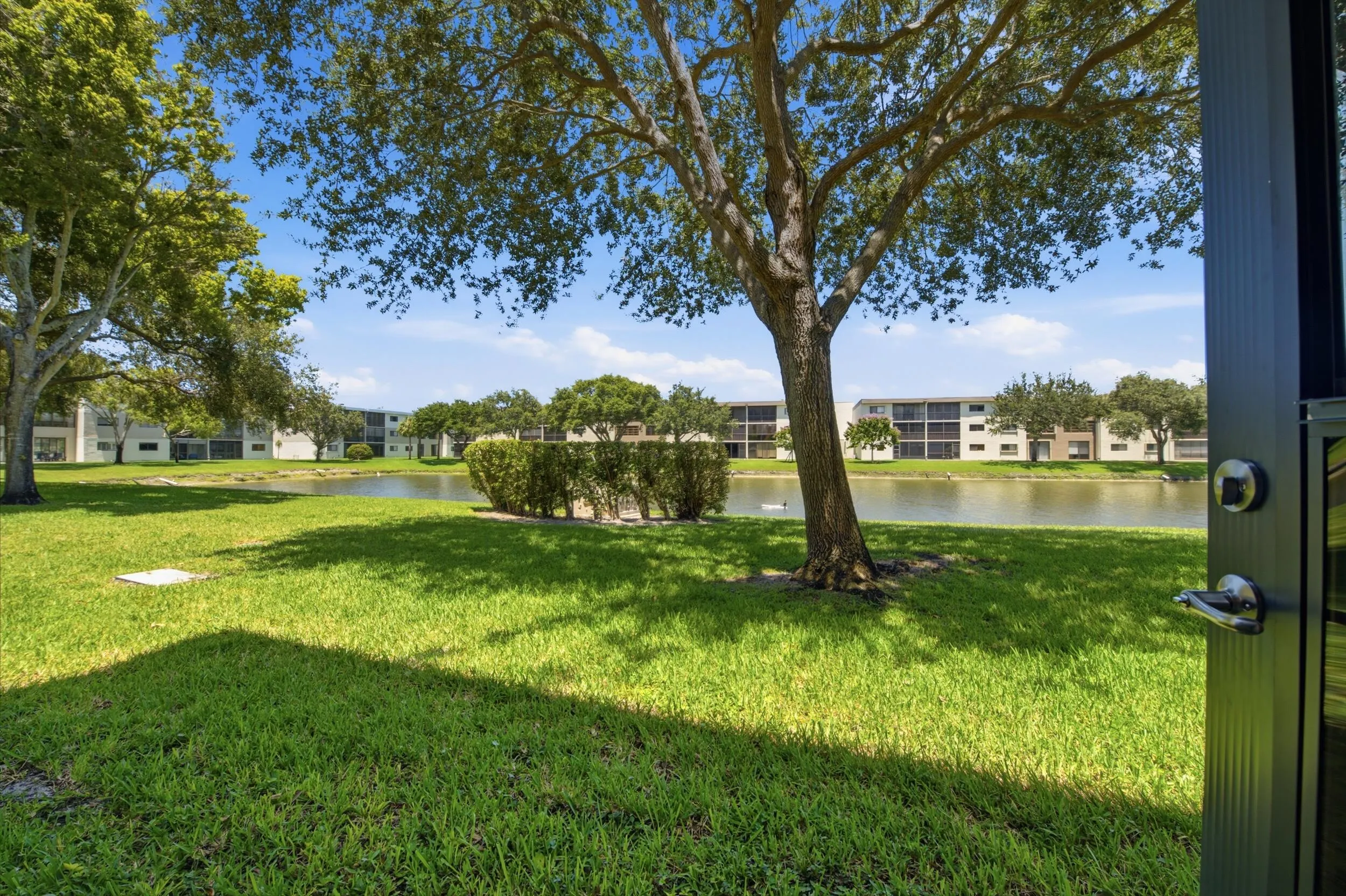 33__dsc4521