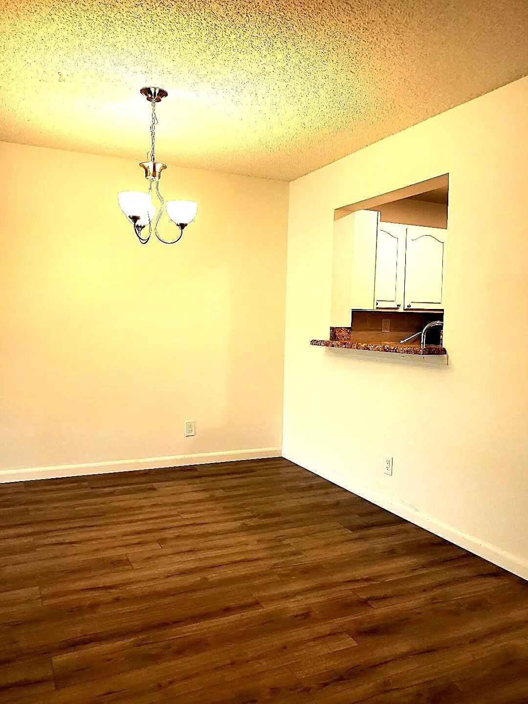 Dining Room Area