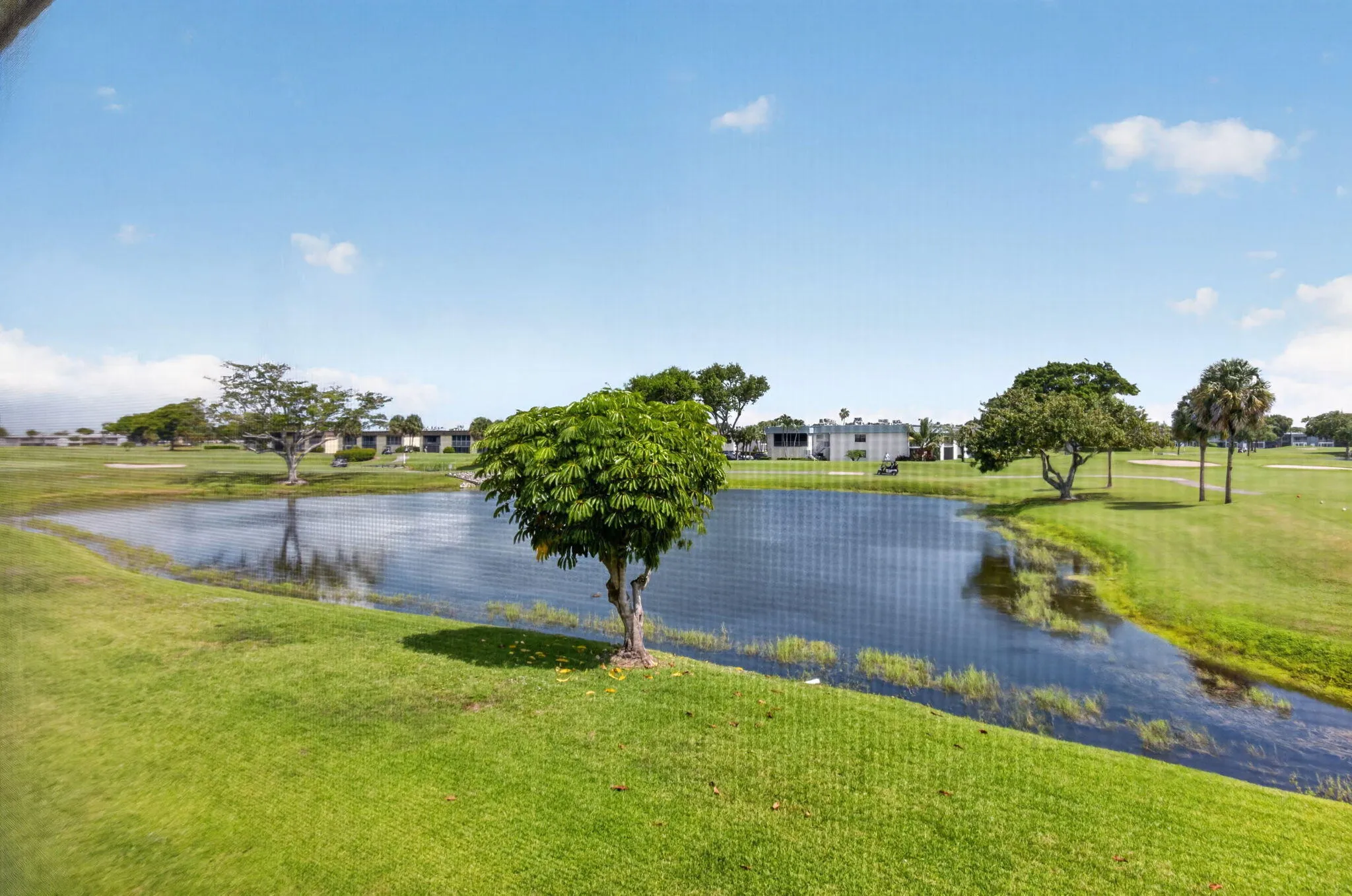 This view offers a peaceful retreat right outside your door!