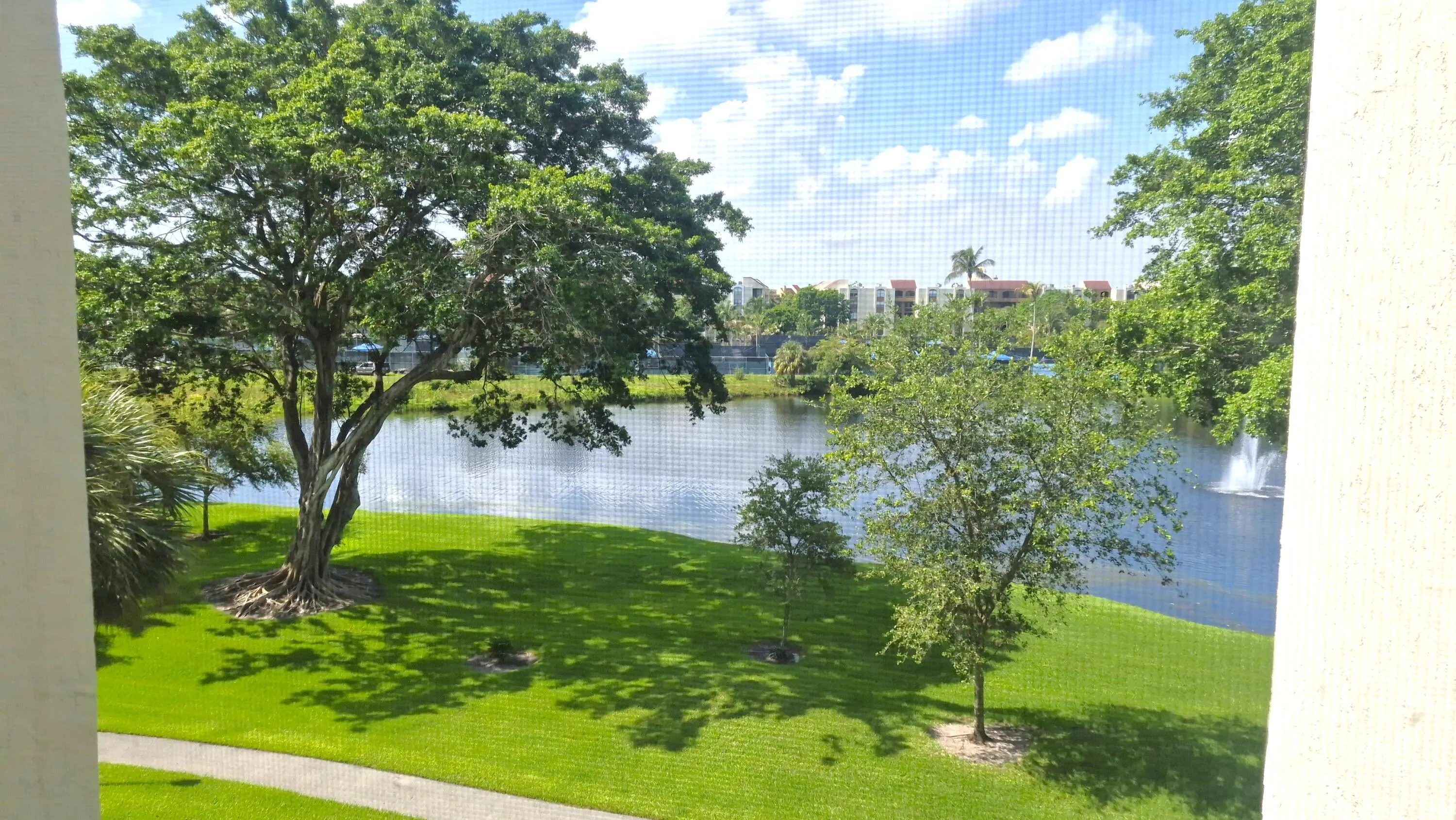 view